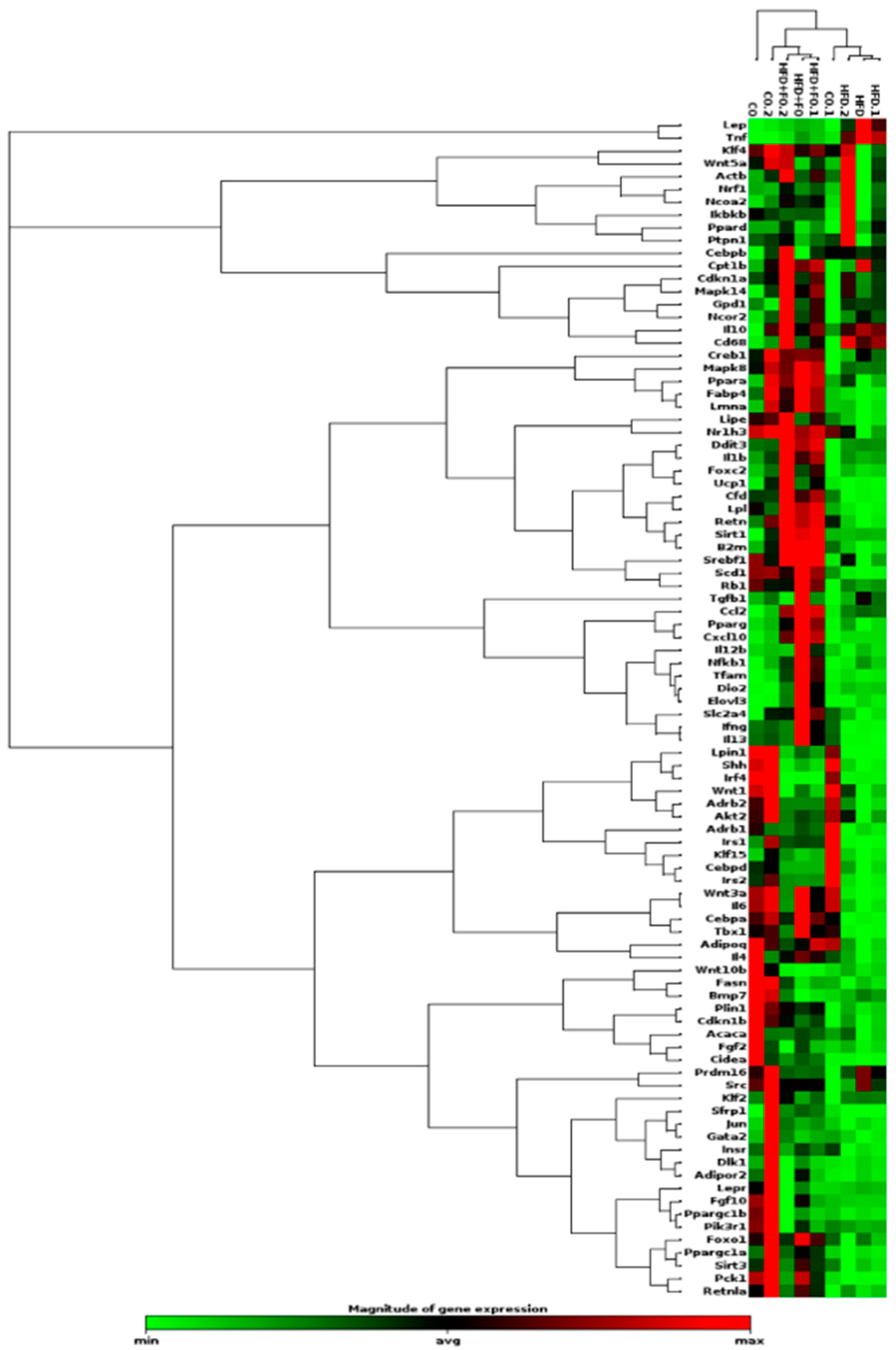 Preprints 107100 g003