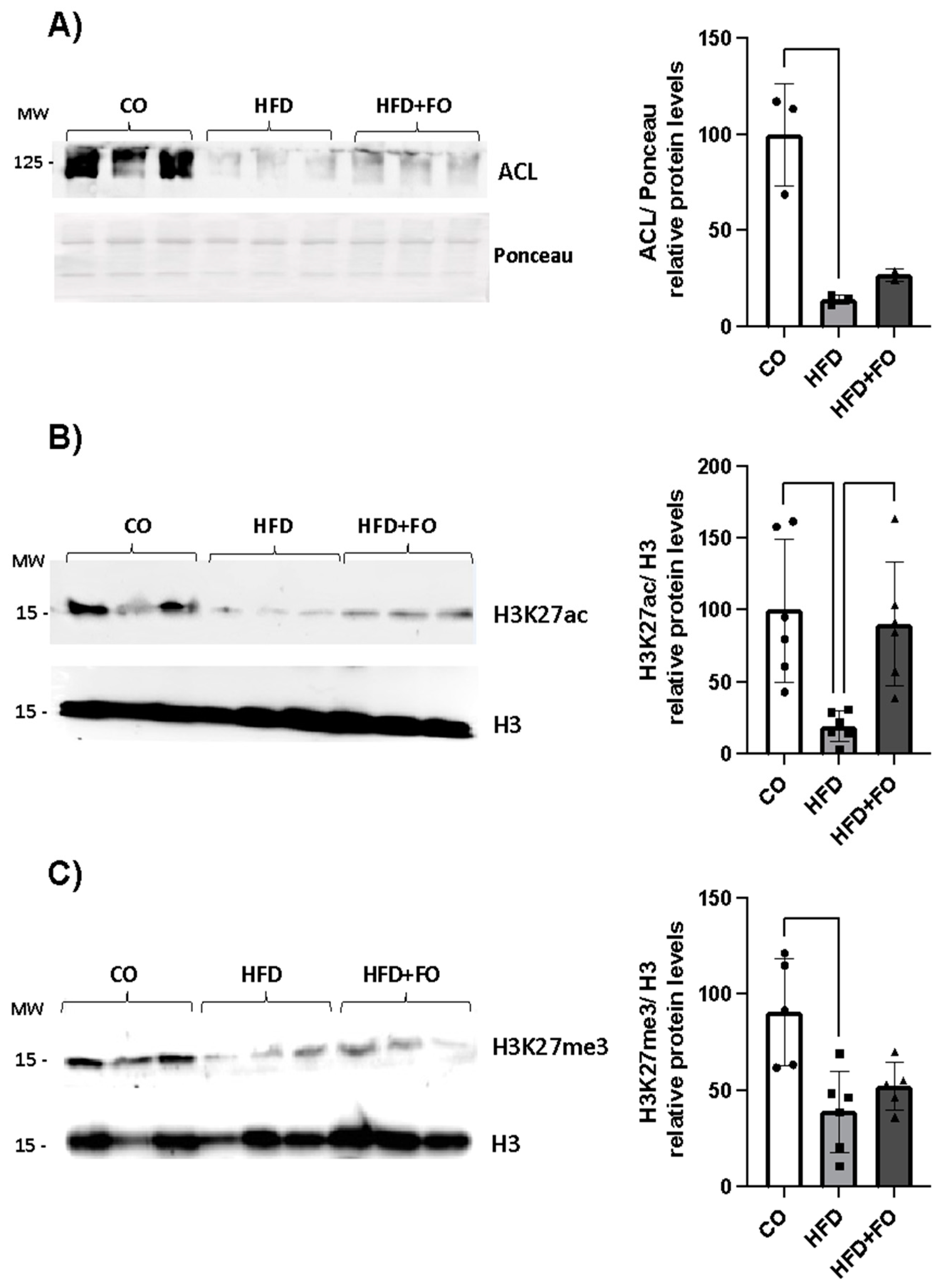 Preprints 107100 g005