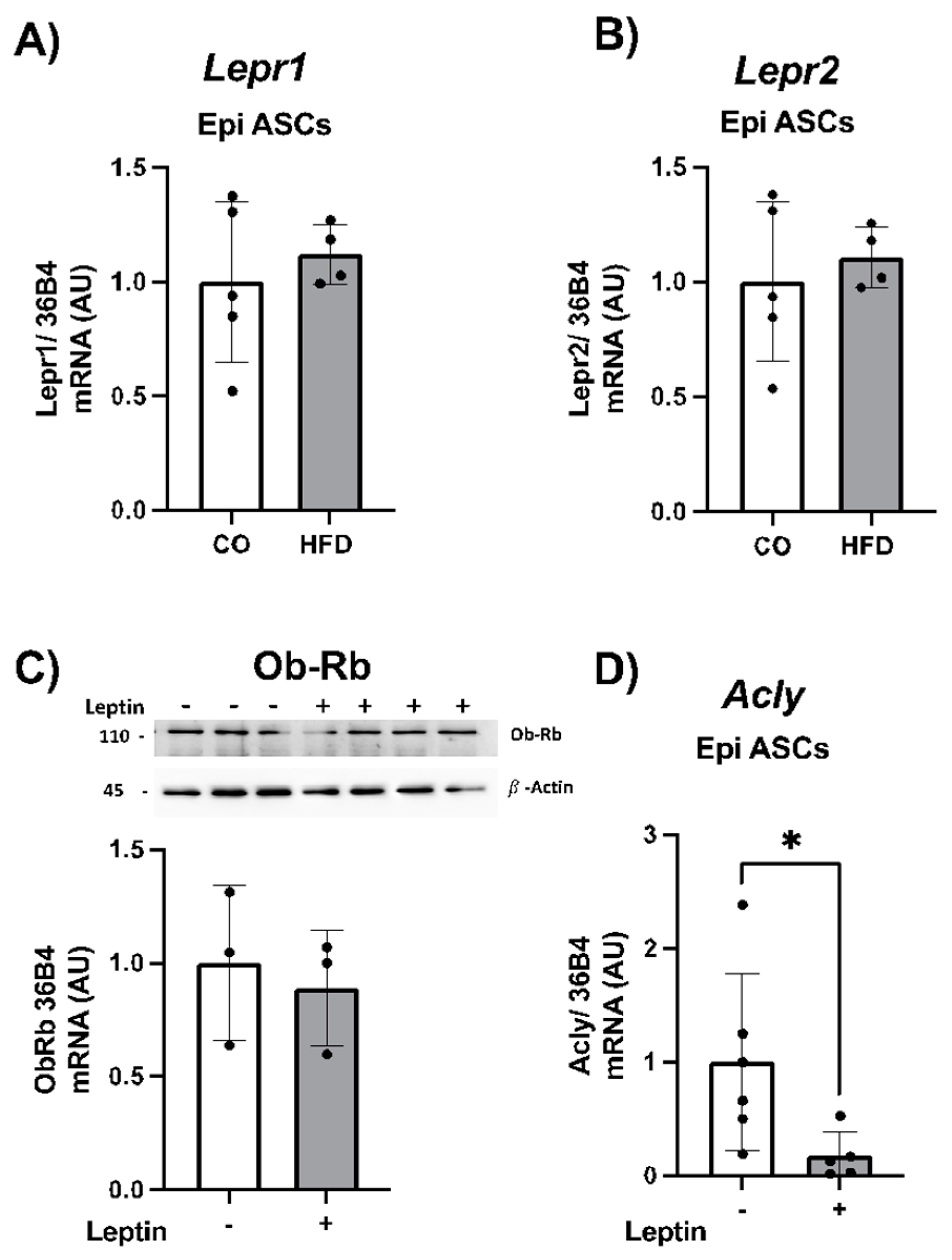 Preprints 107100 g006