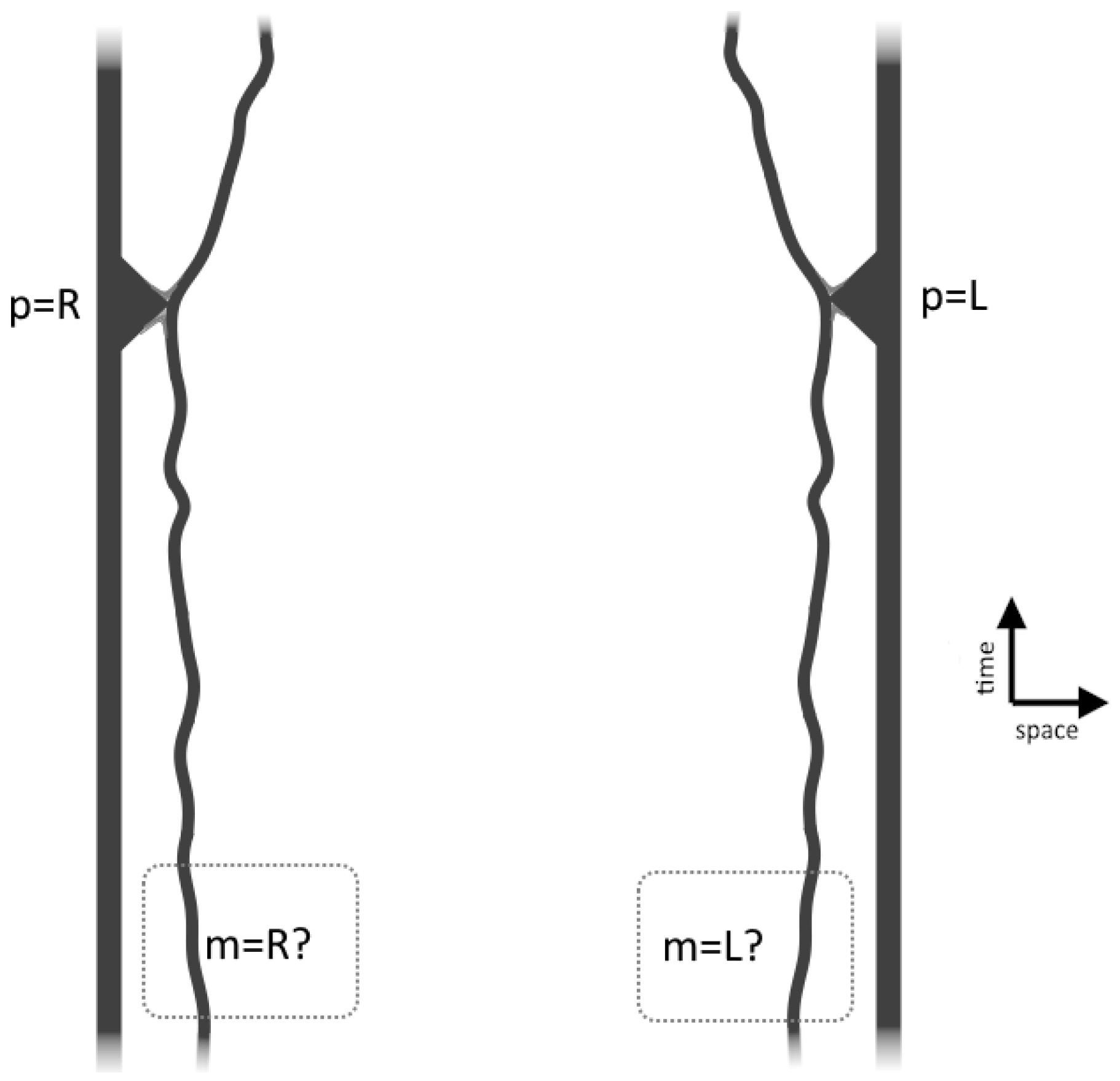 Preprints 107080 g002