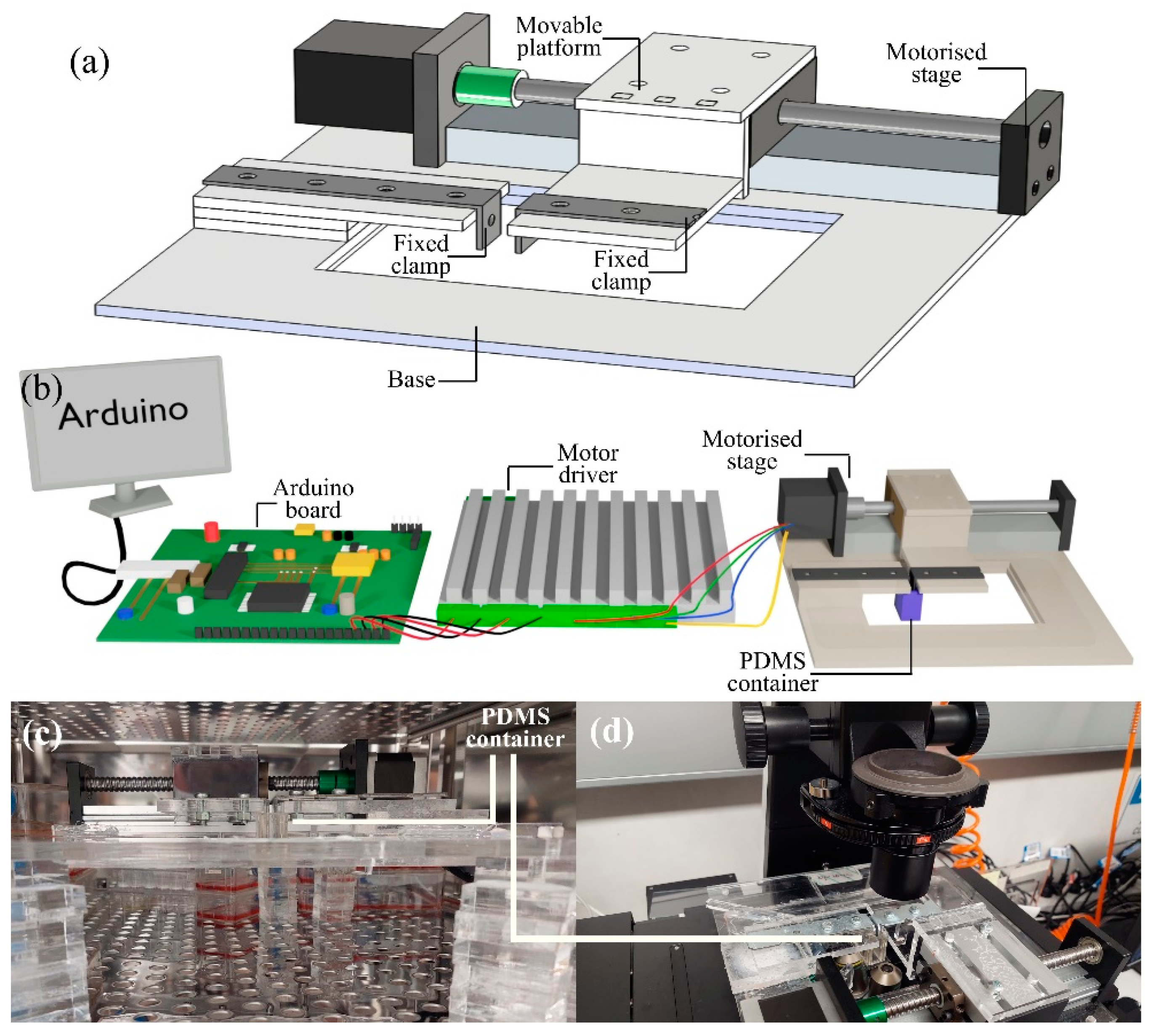 Preprints 78510 g001