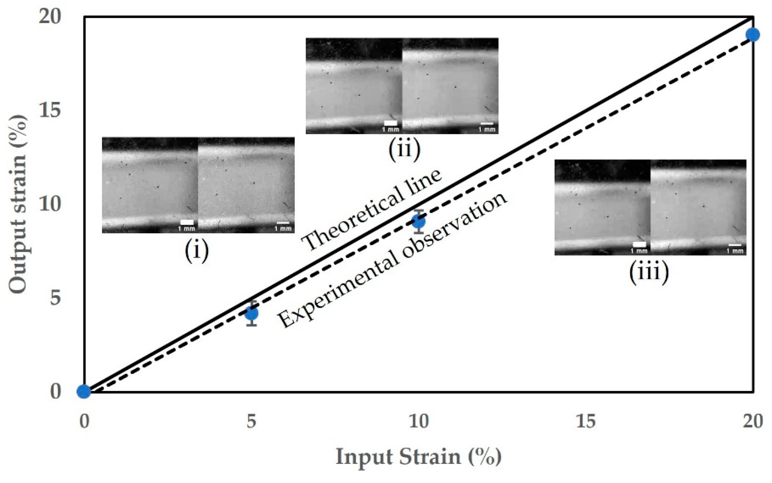 Preprints 78510 g002