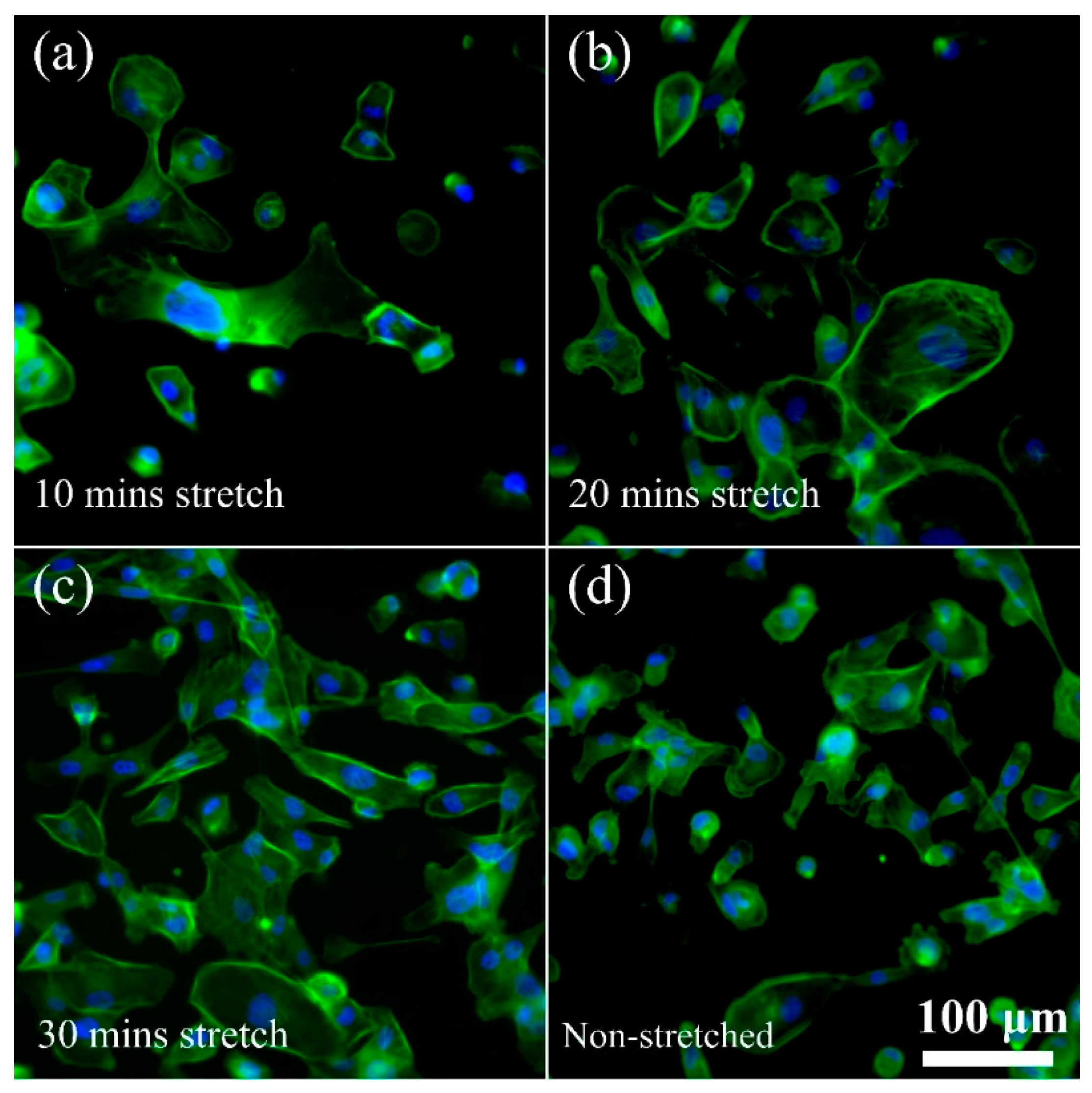 Preprints 78510 g004