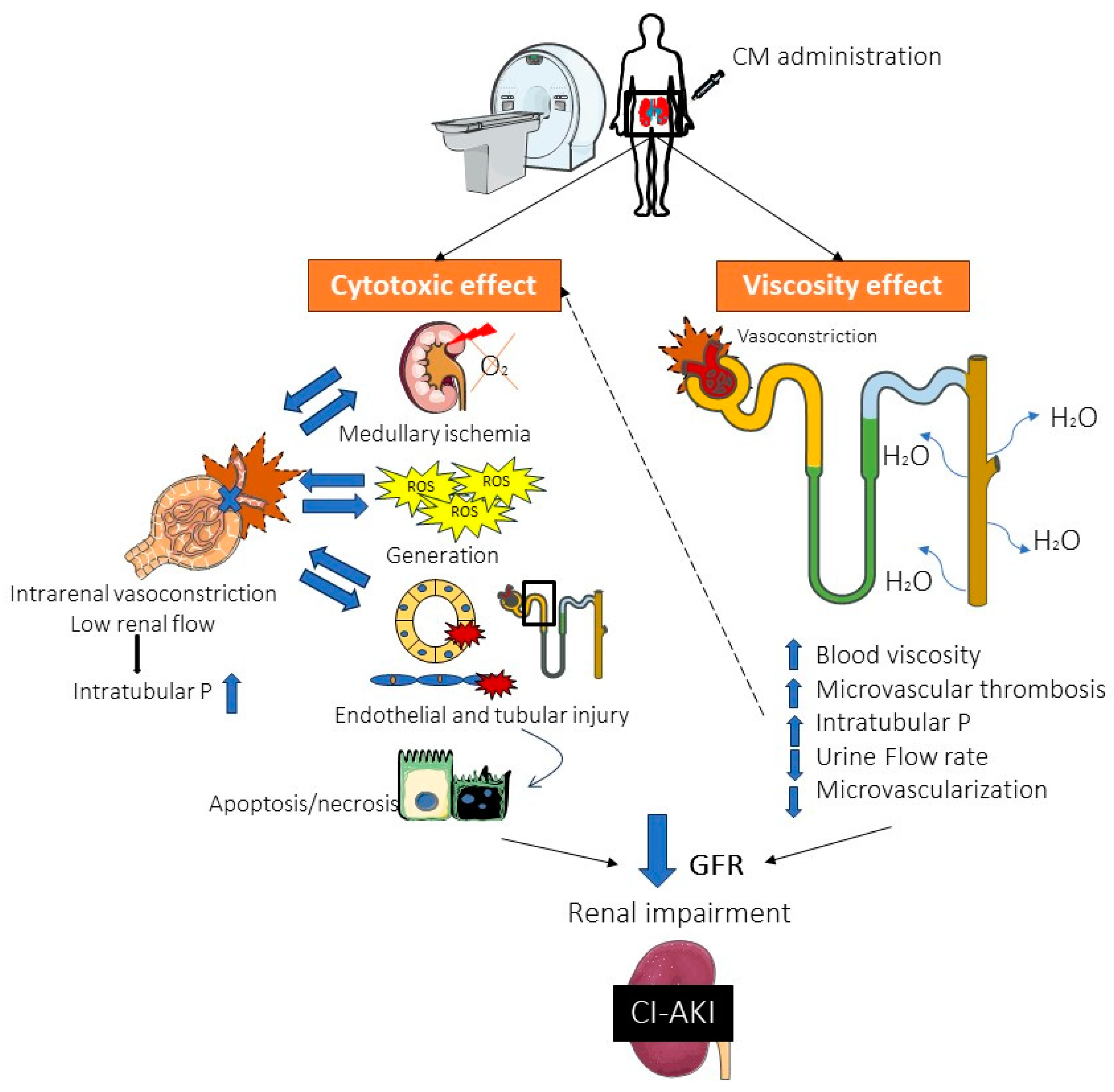 Preprints 98803 g001