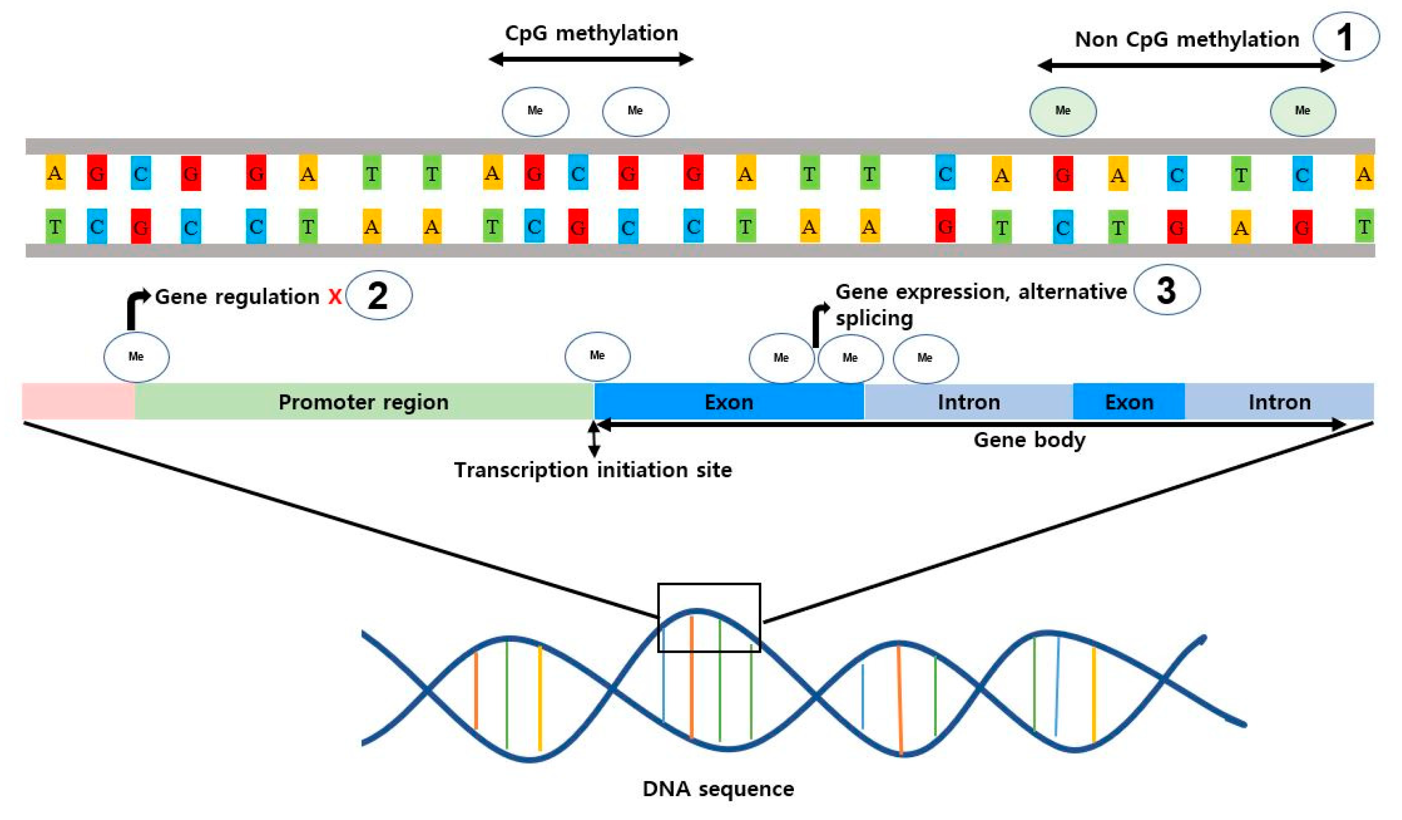 Preprints 80695 g003