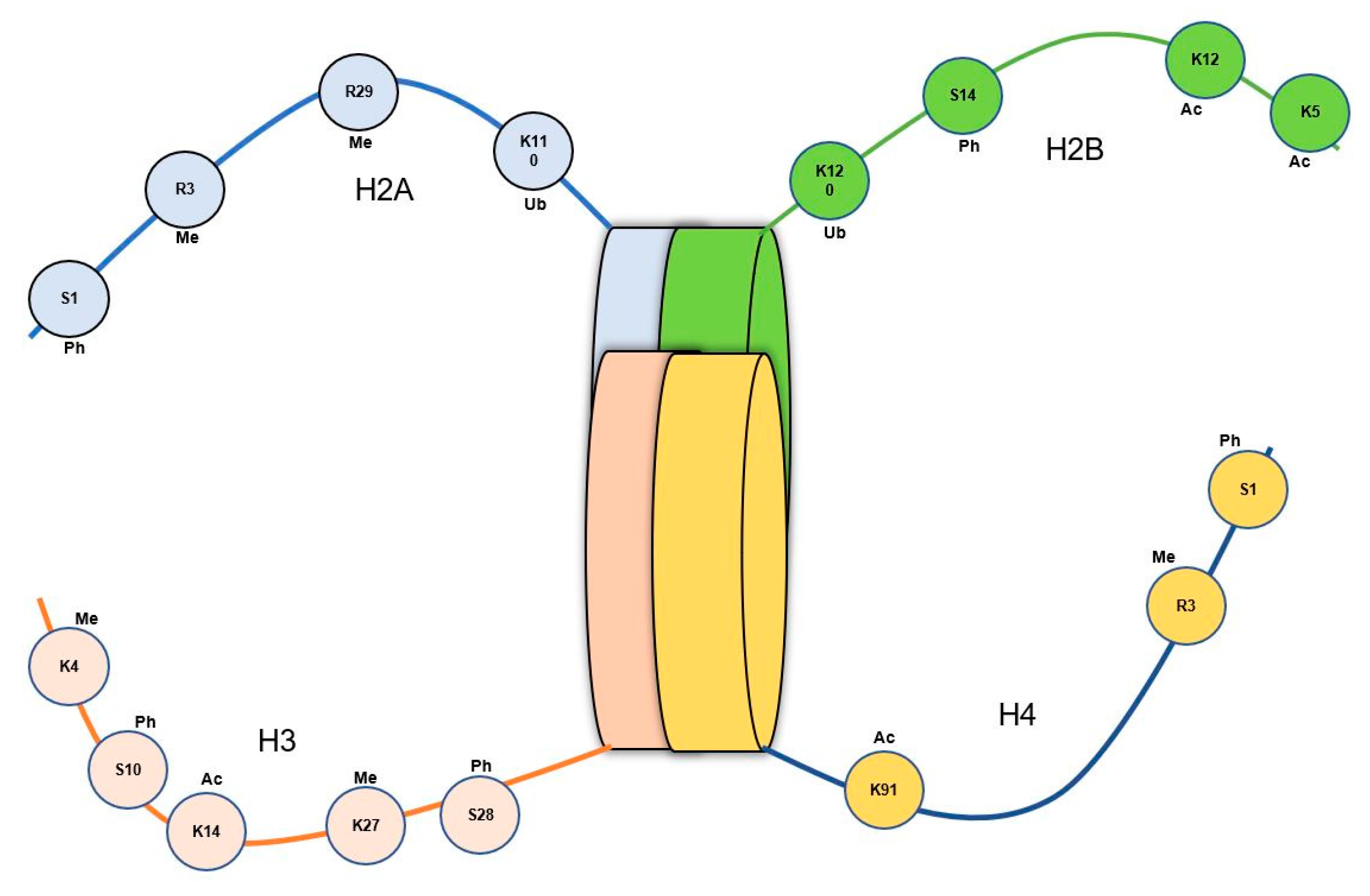 Preprints 80695 g004