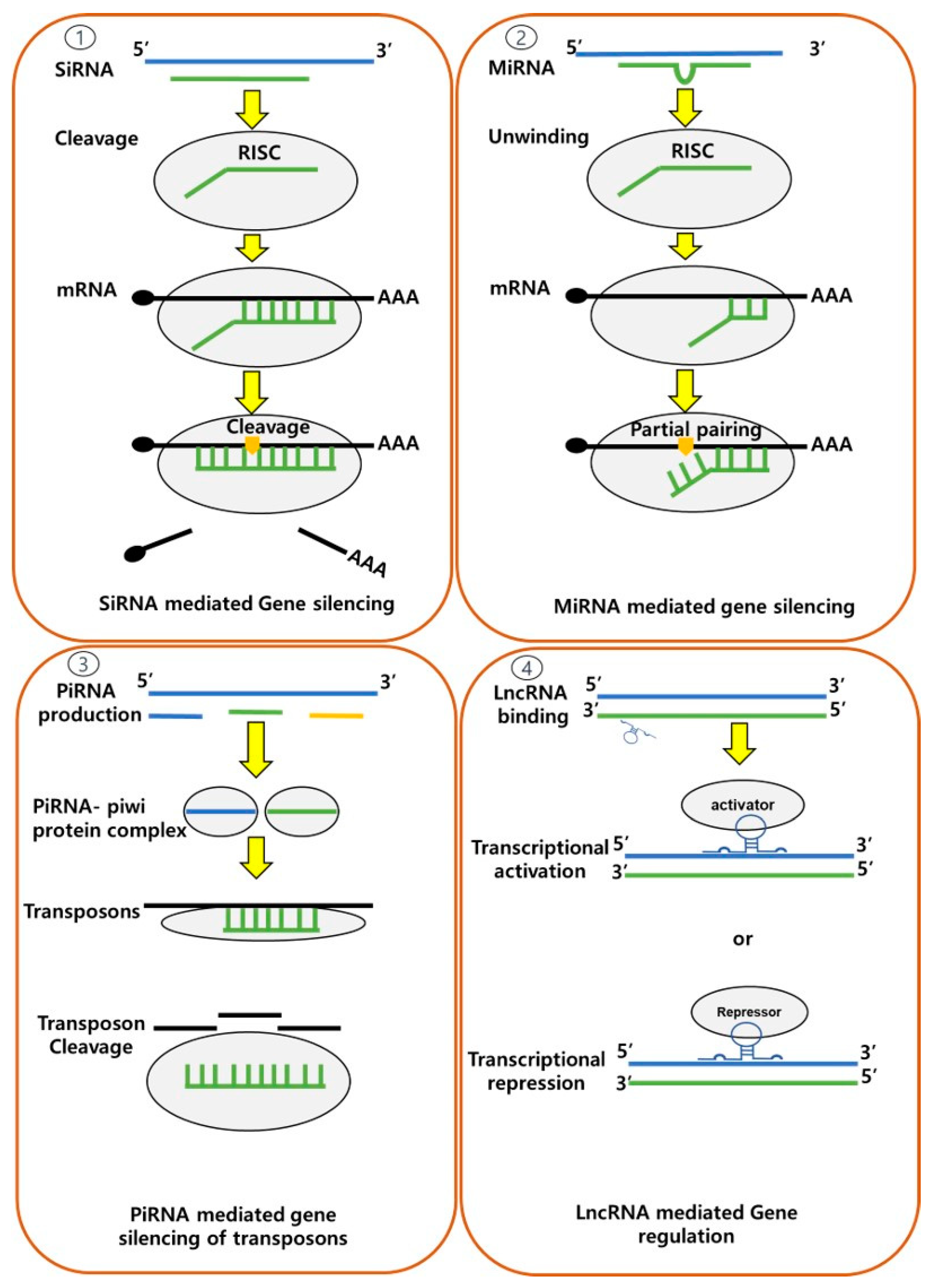 Preprints 80695 g005