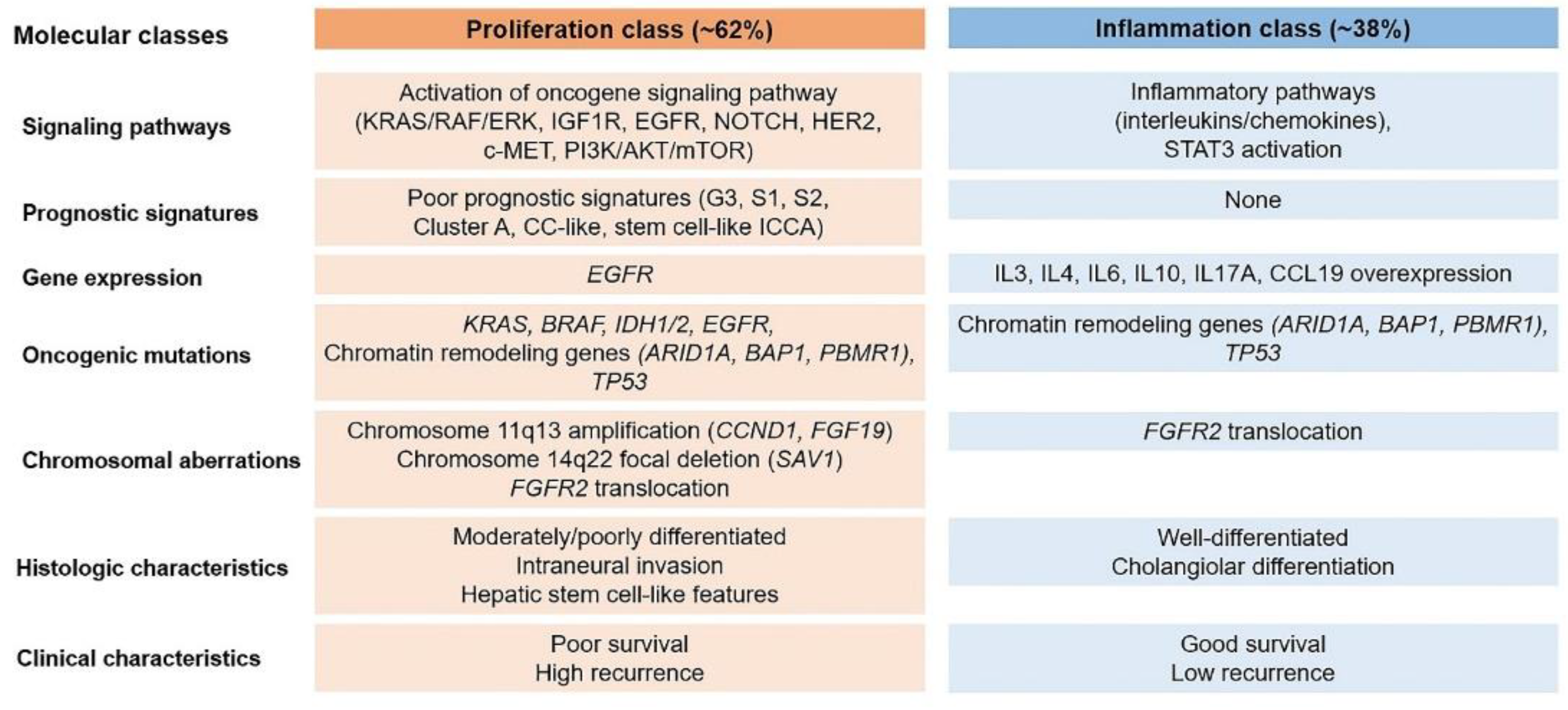 Preprints 100377 g001