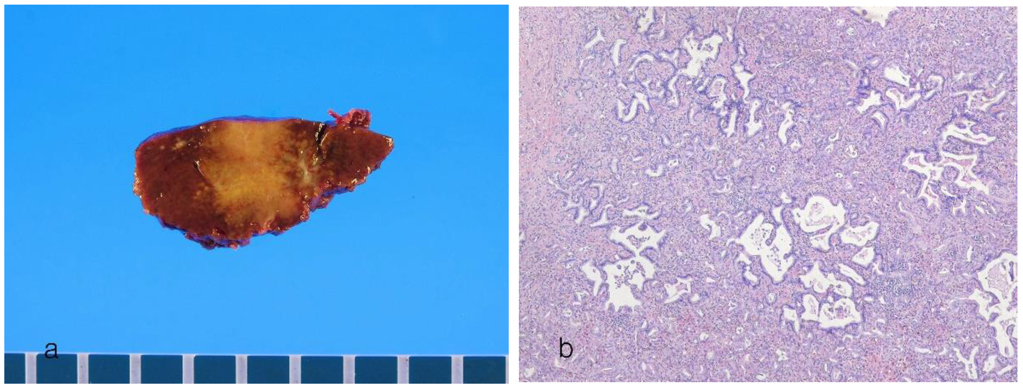 Preprints 100377 g005