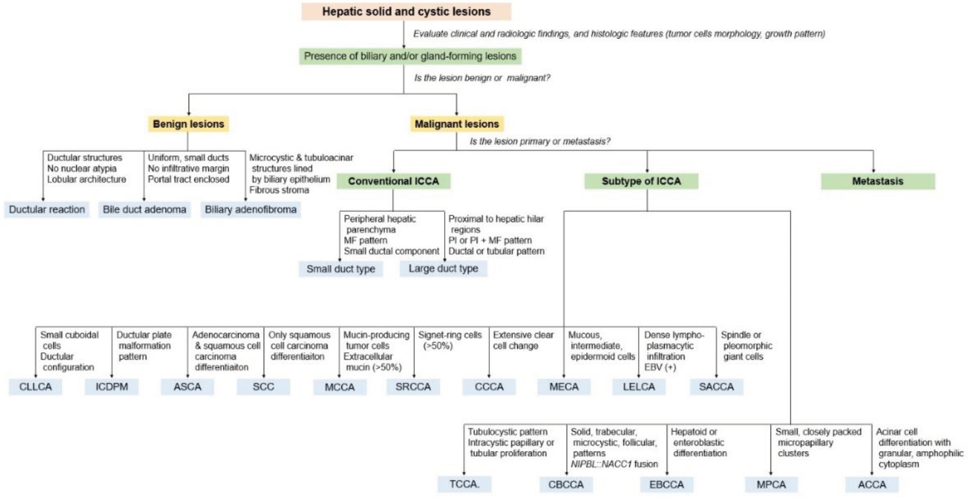 Preprints 100377 g007