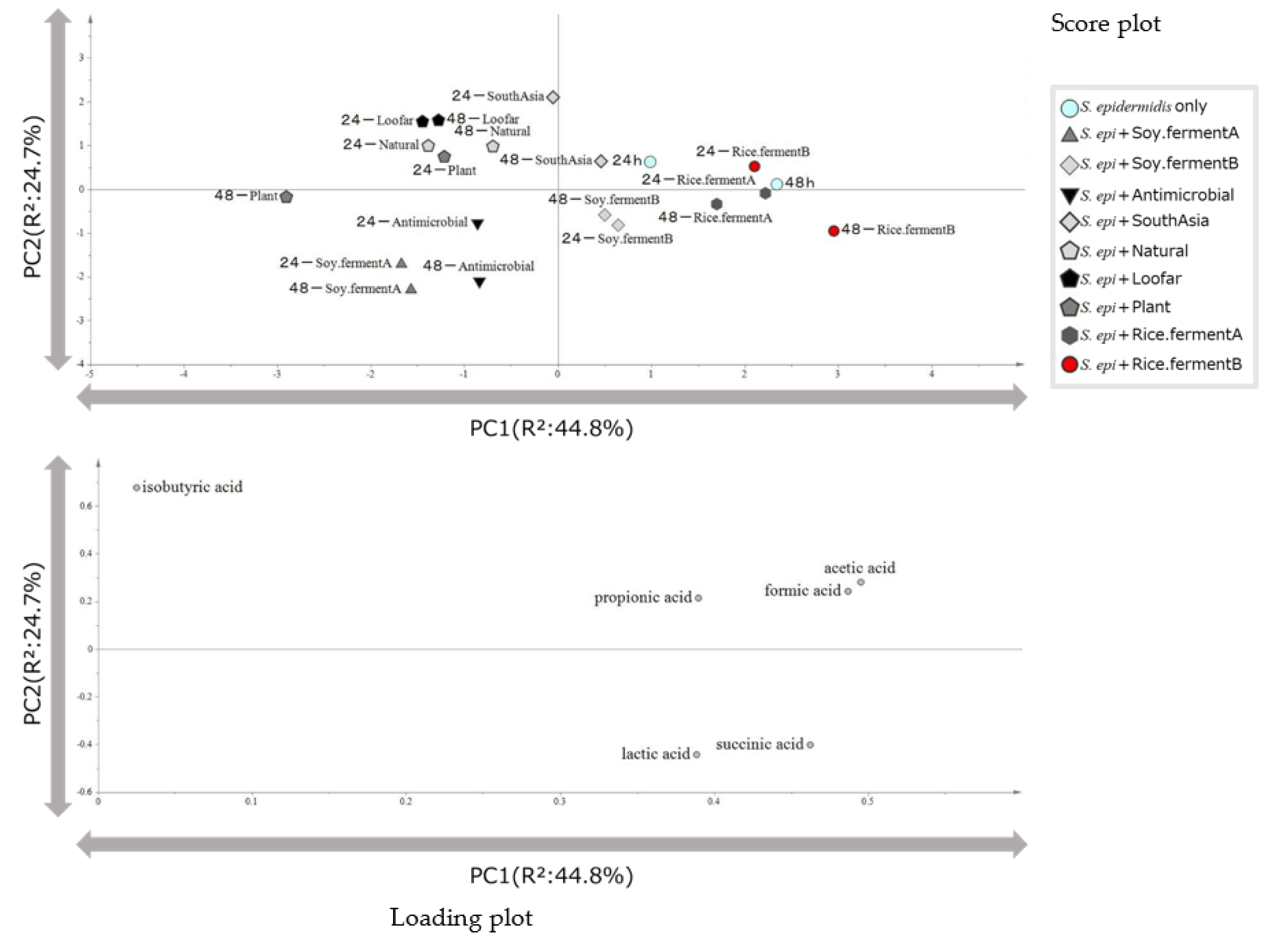 Preprints 75934 g002