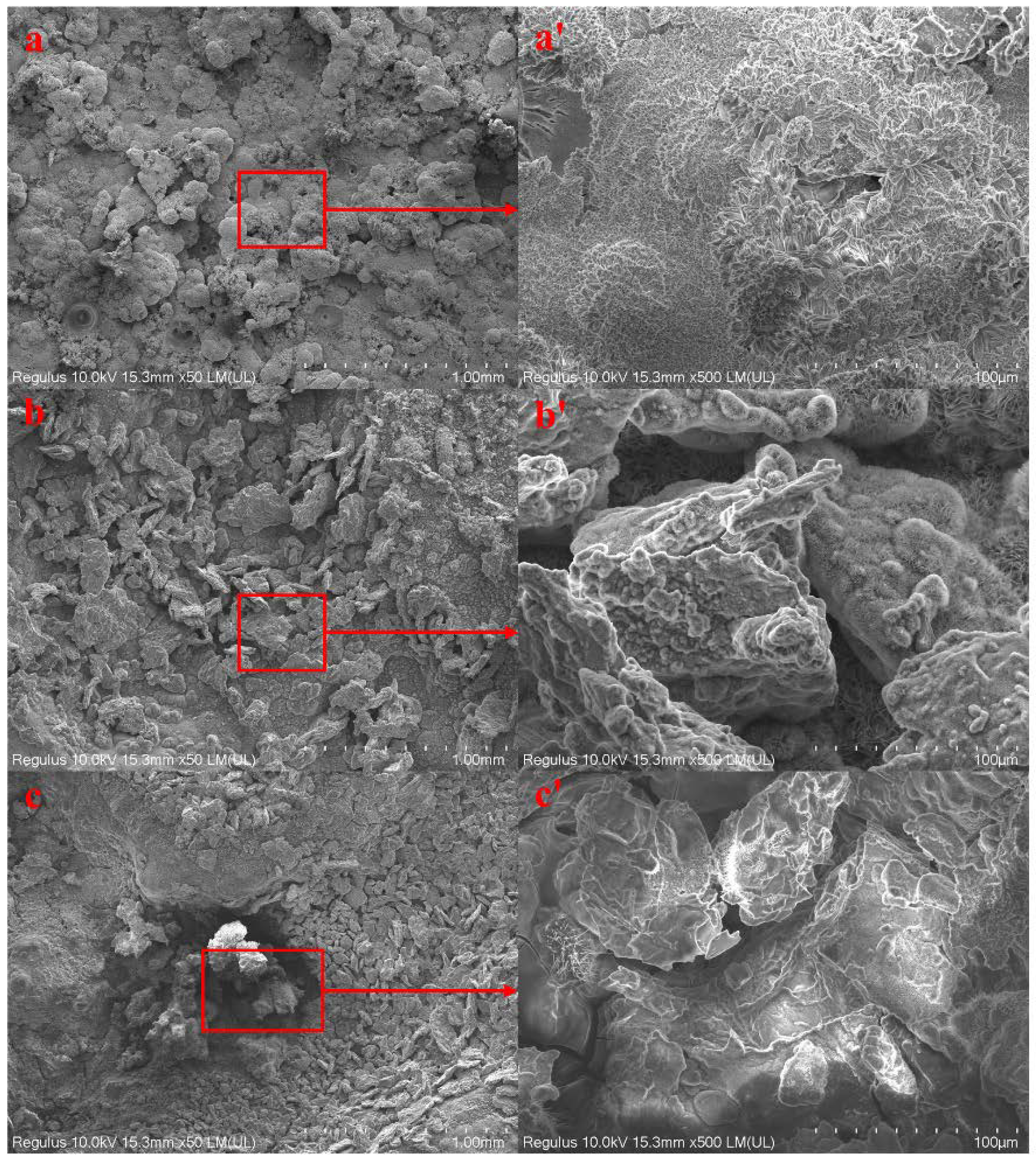 Preprints 90185 g002