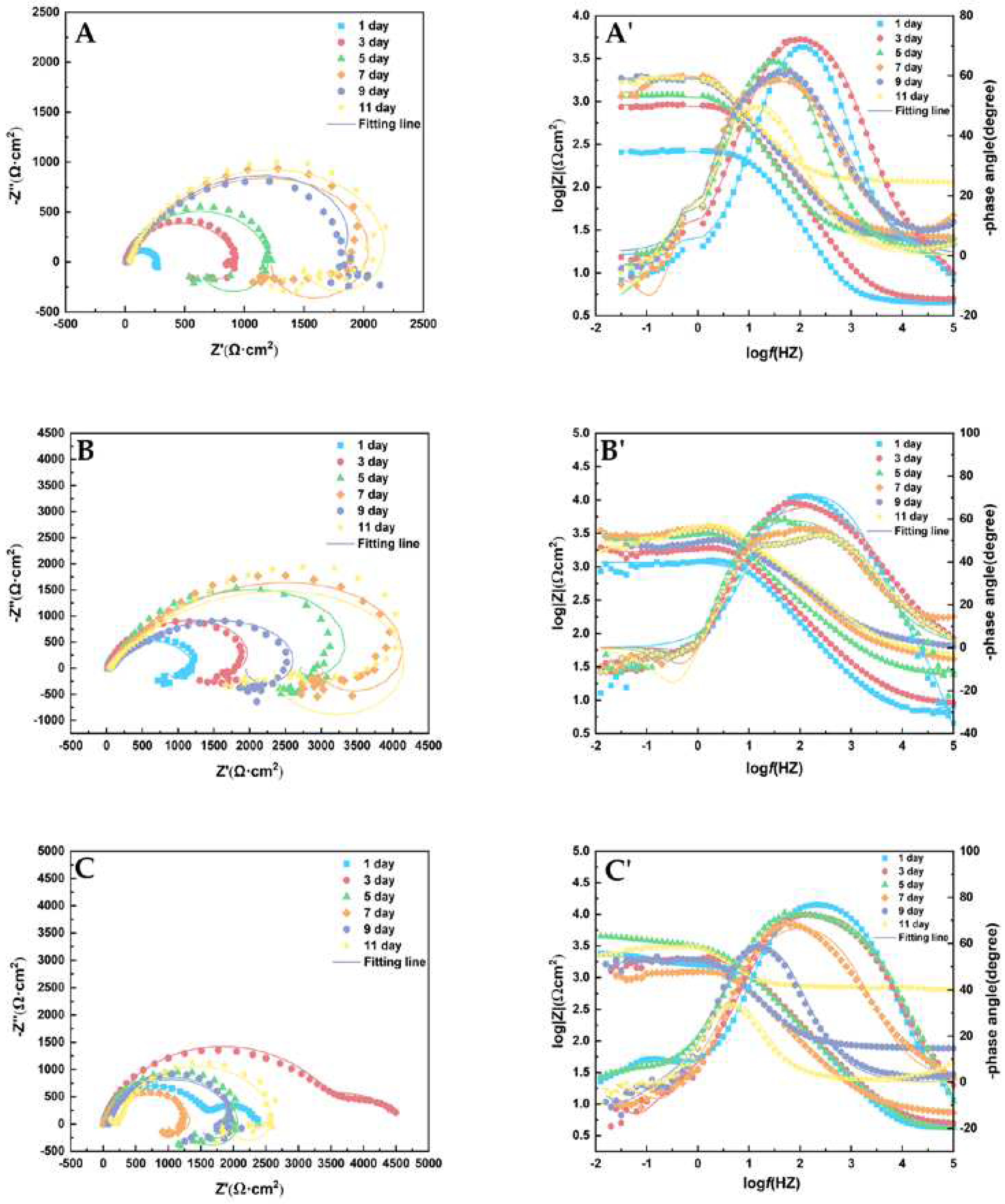 Preprints 90185 g004