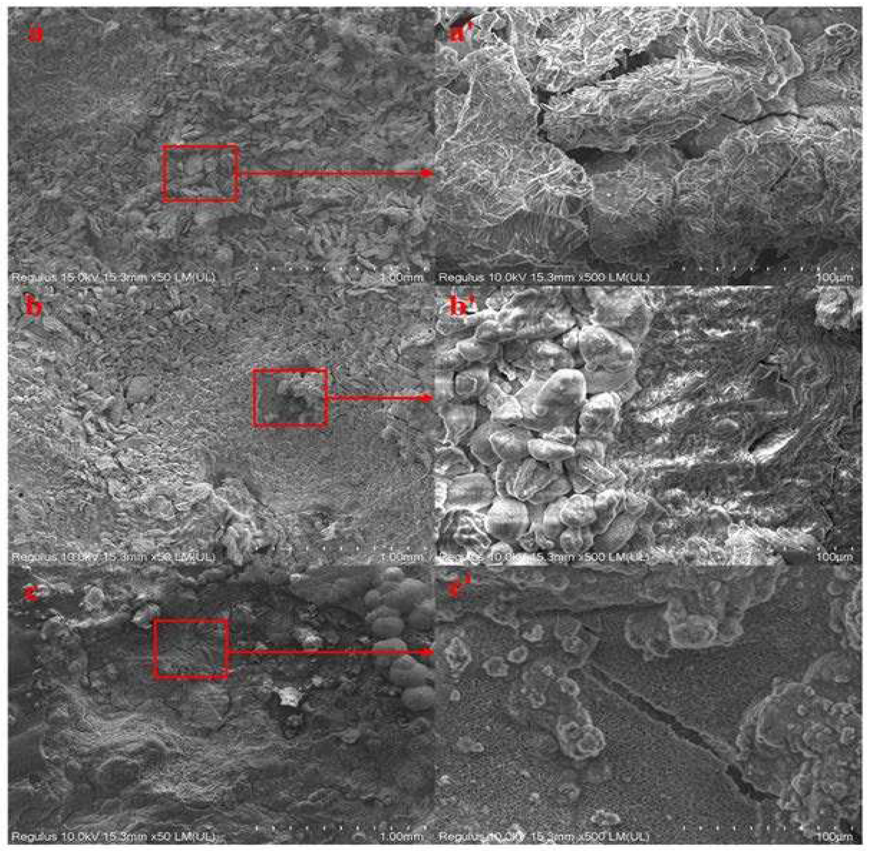 Preprints 90185 g007