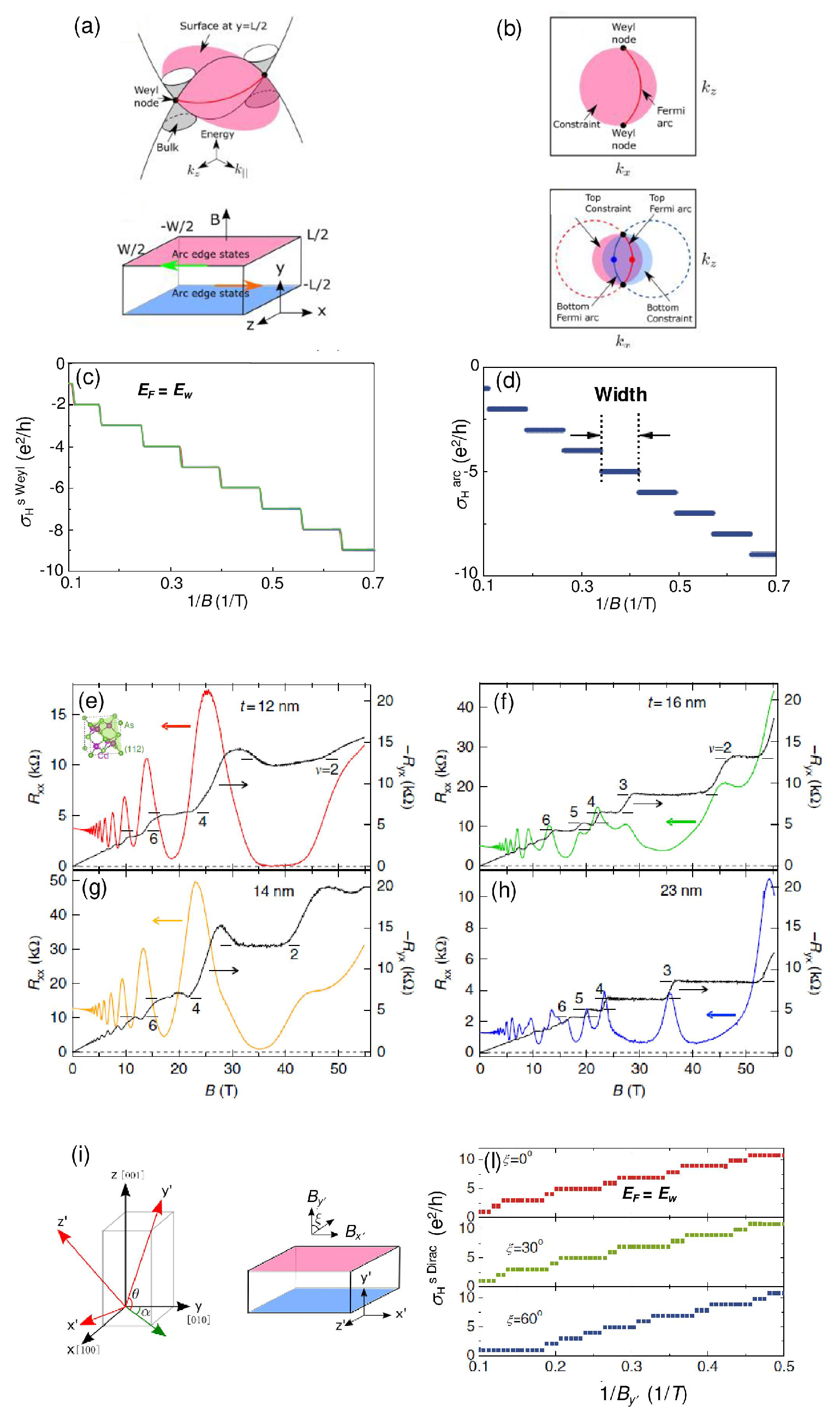 Preprints 90214 g005