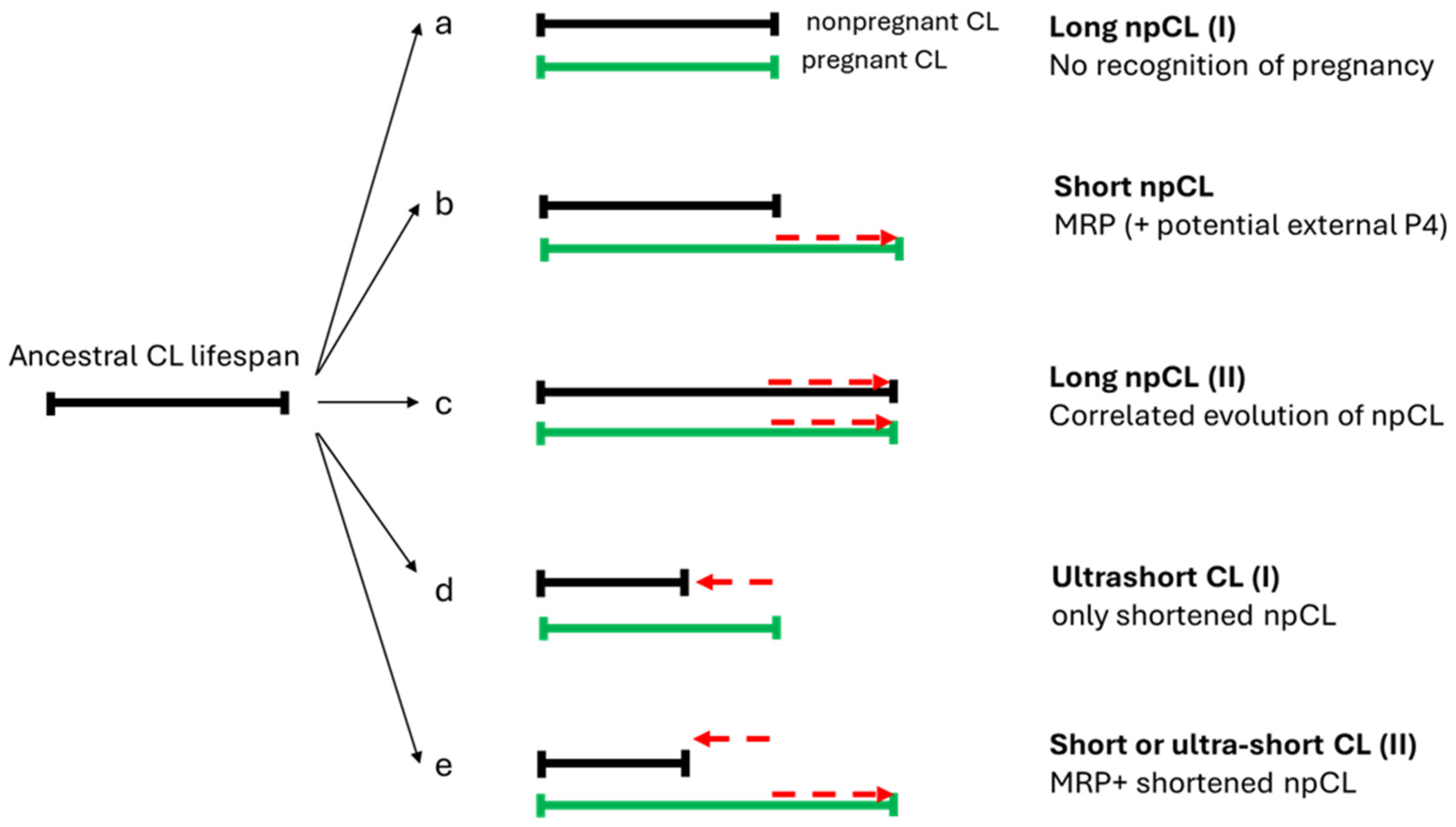 Preprints 108734 g002