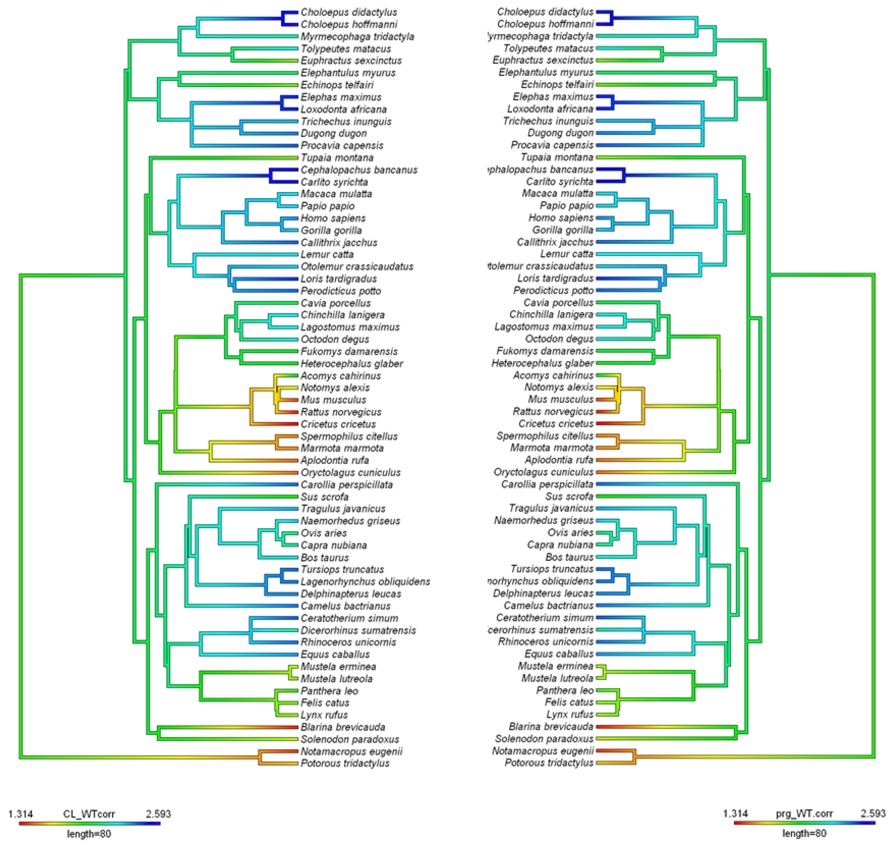 Preprints 108734 g005