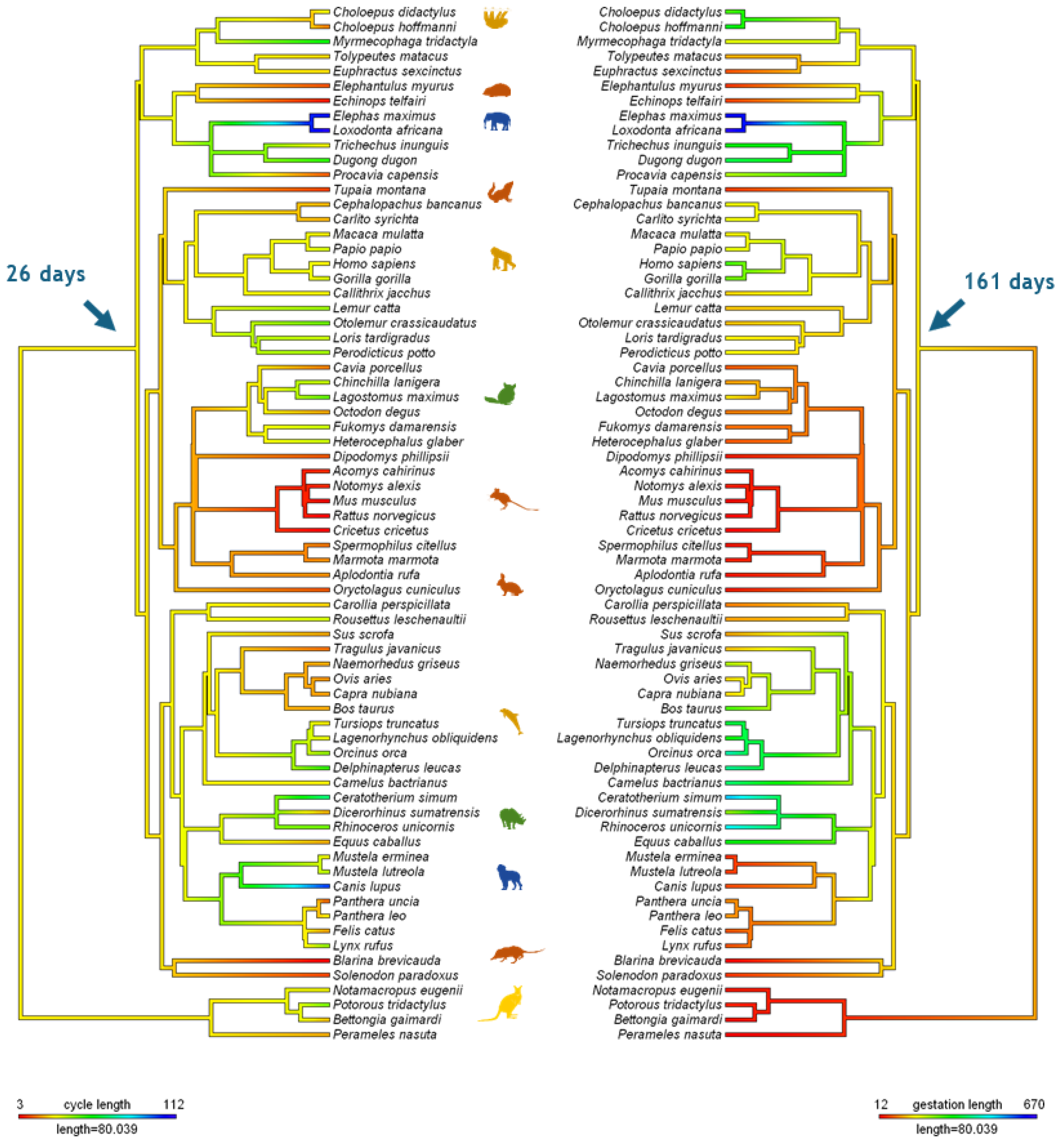 Preprints 108734 g006