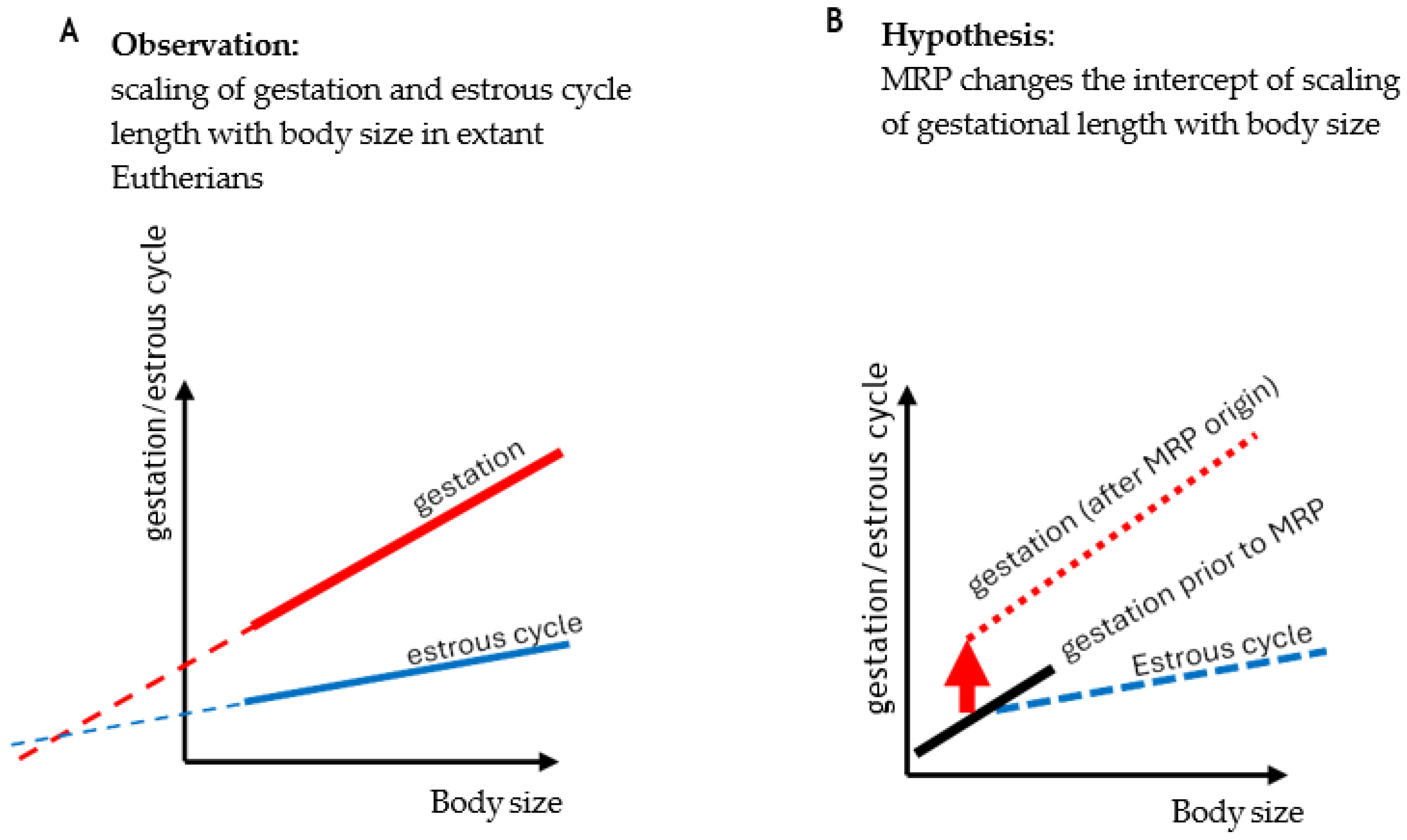 Preprints 108734 g008