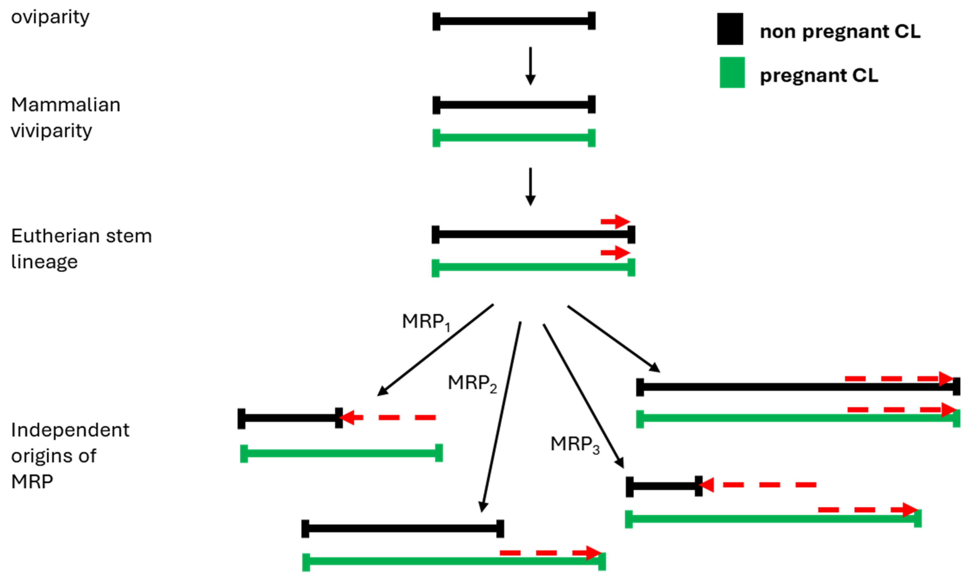 Preprints 108734 g009