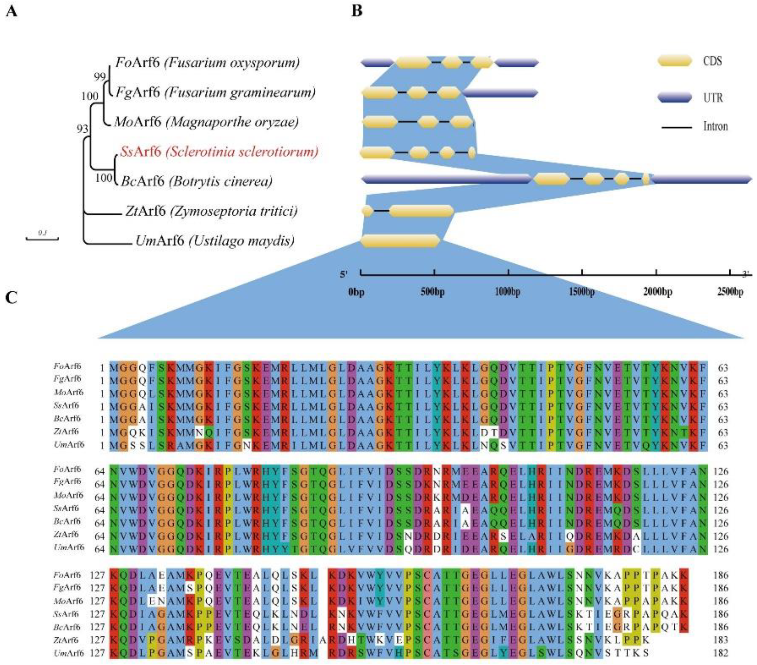 Preprints 90844 g001