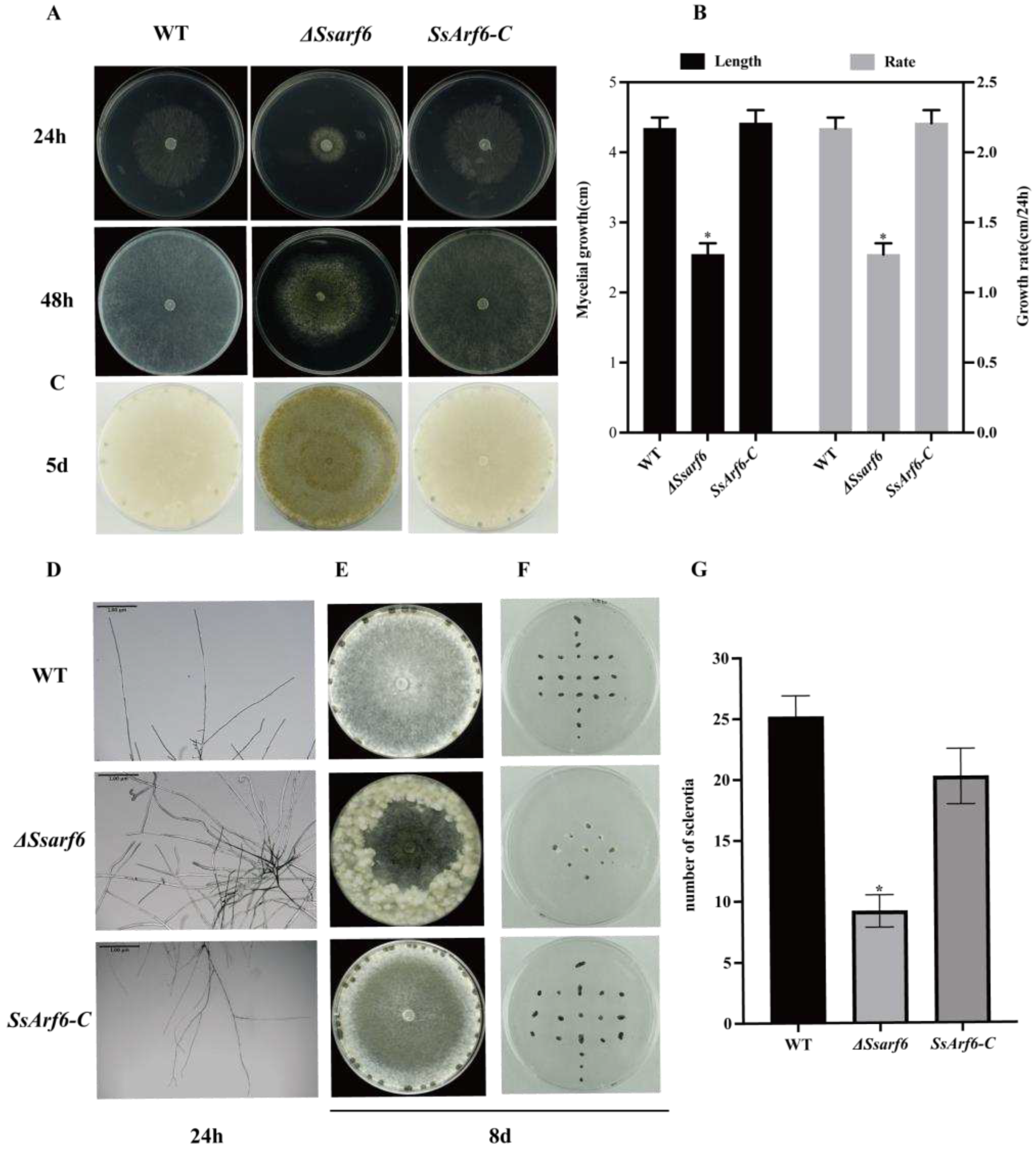 Preprints 90844 g002