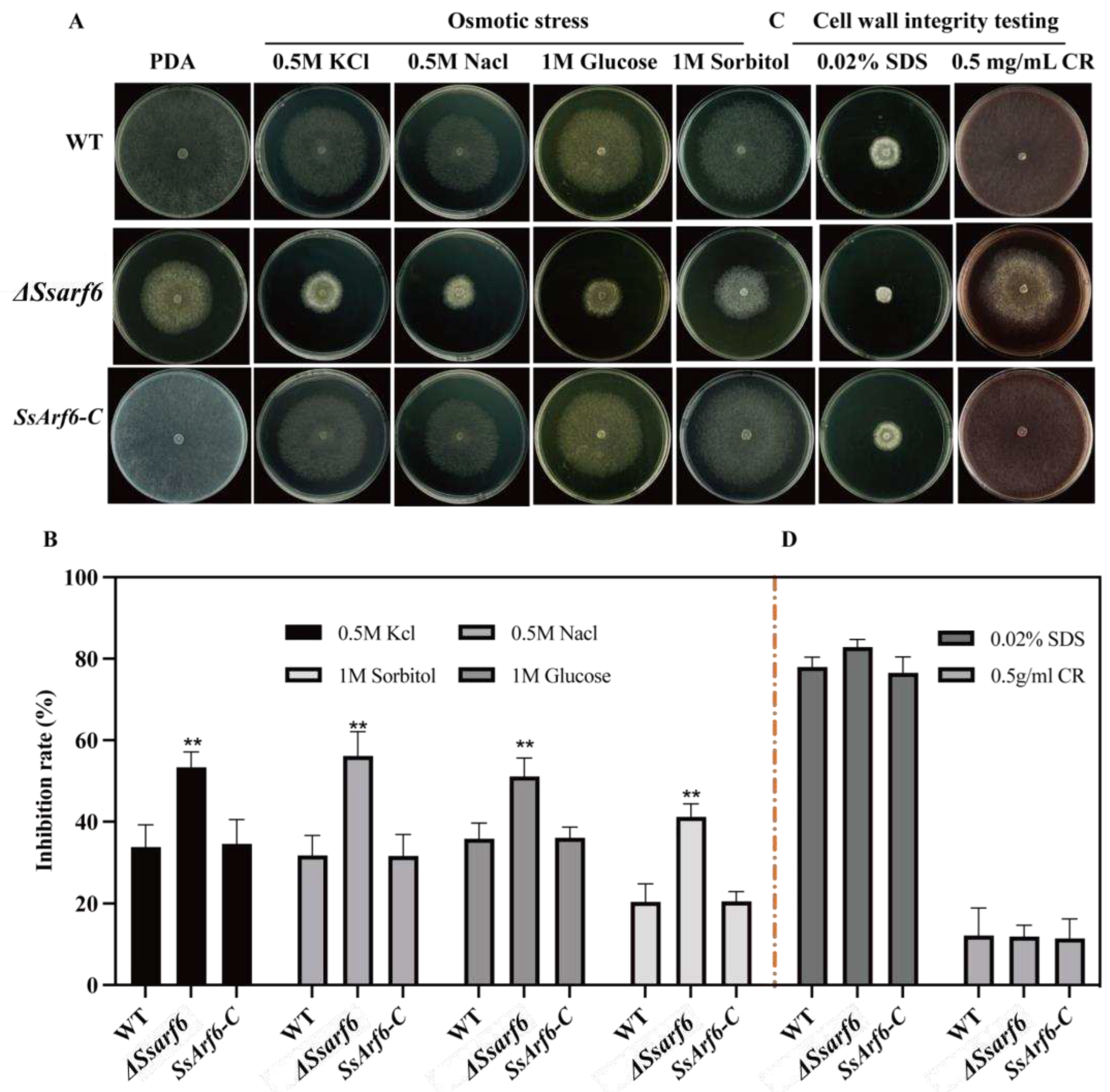 Preprints 90844 g003