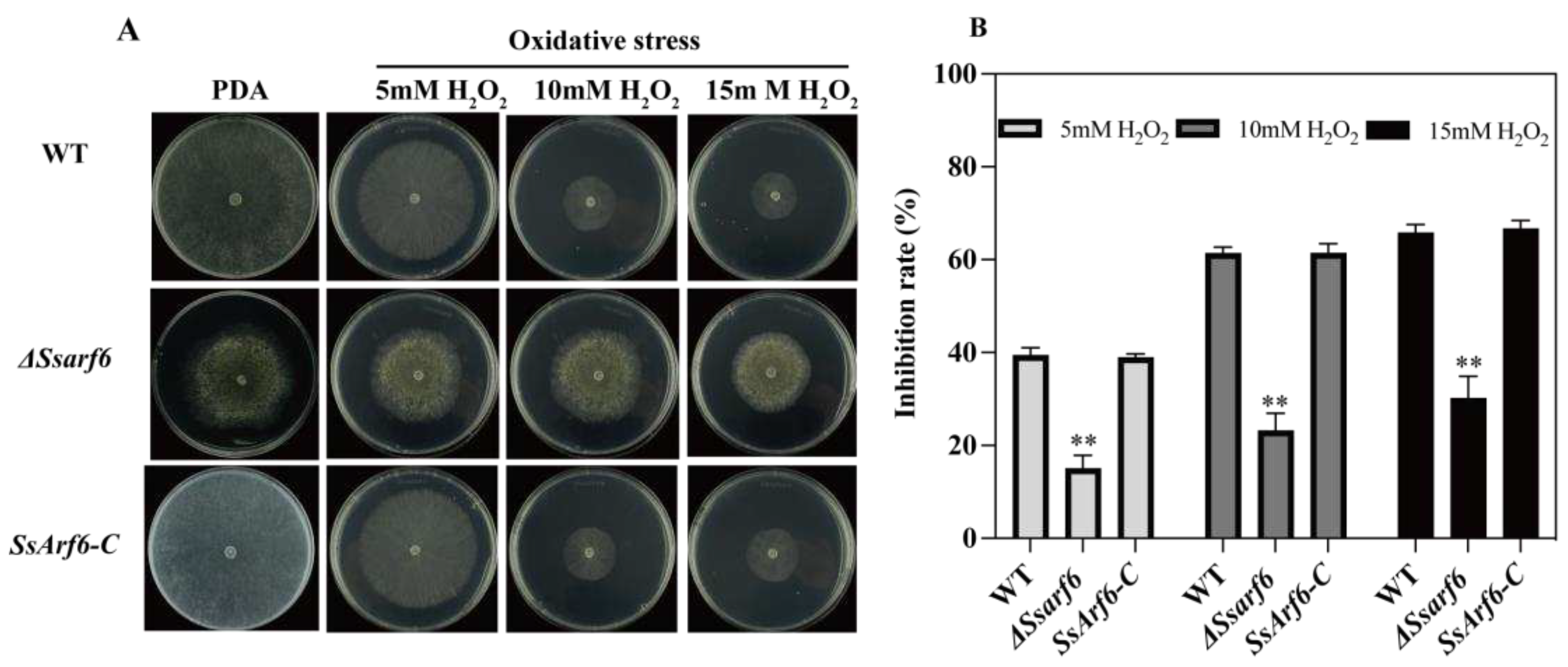 Preprints 90844 g004