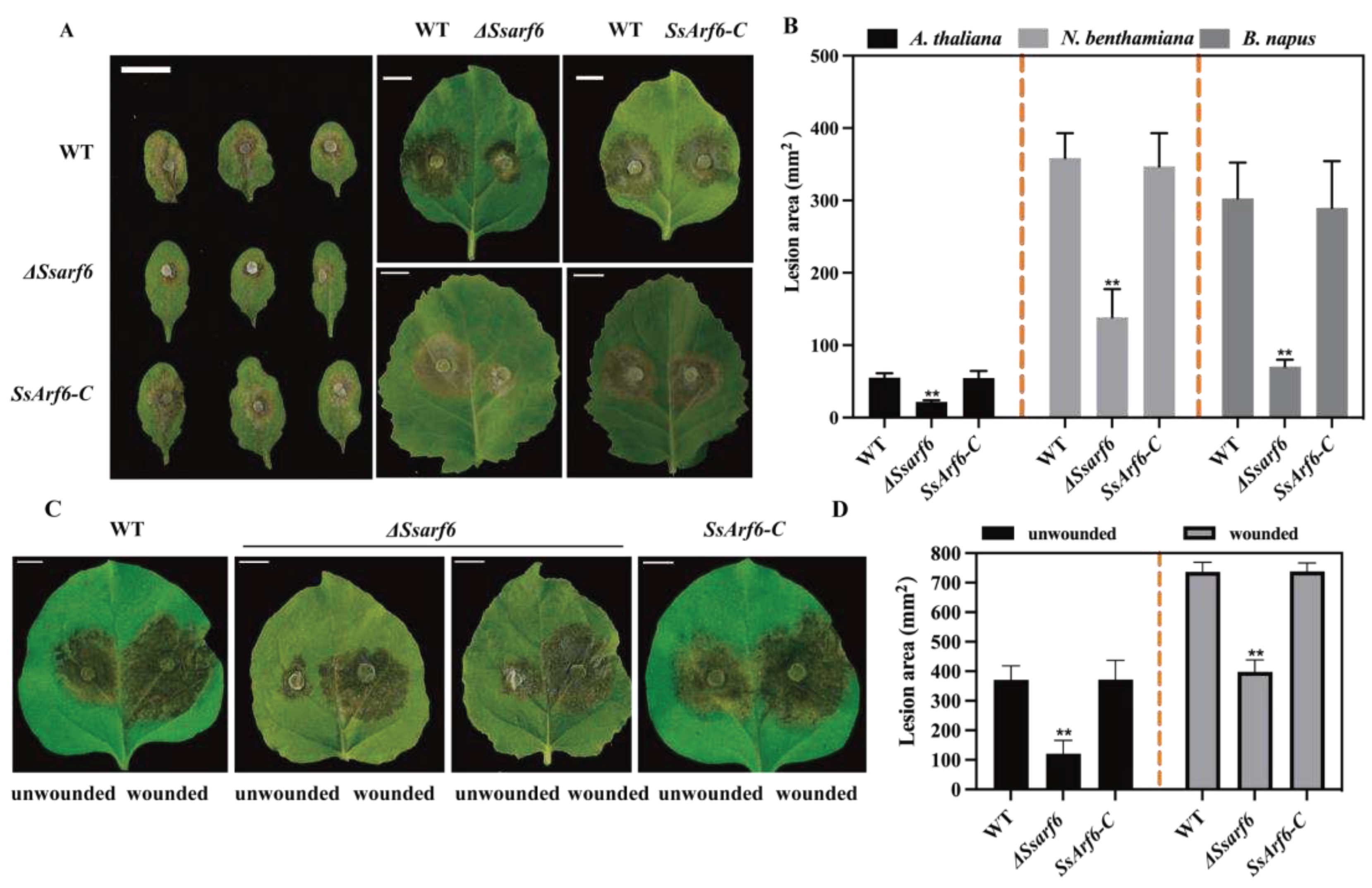 Preprints 90844 g006