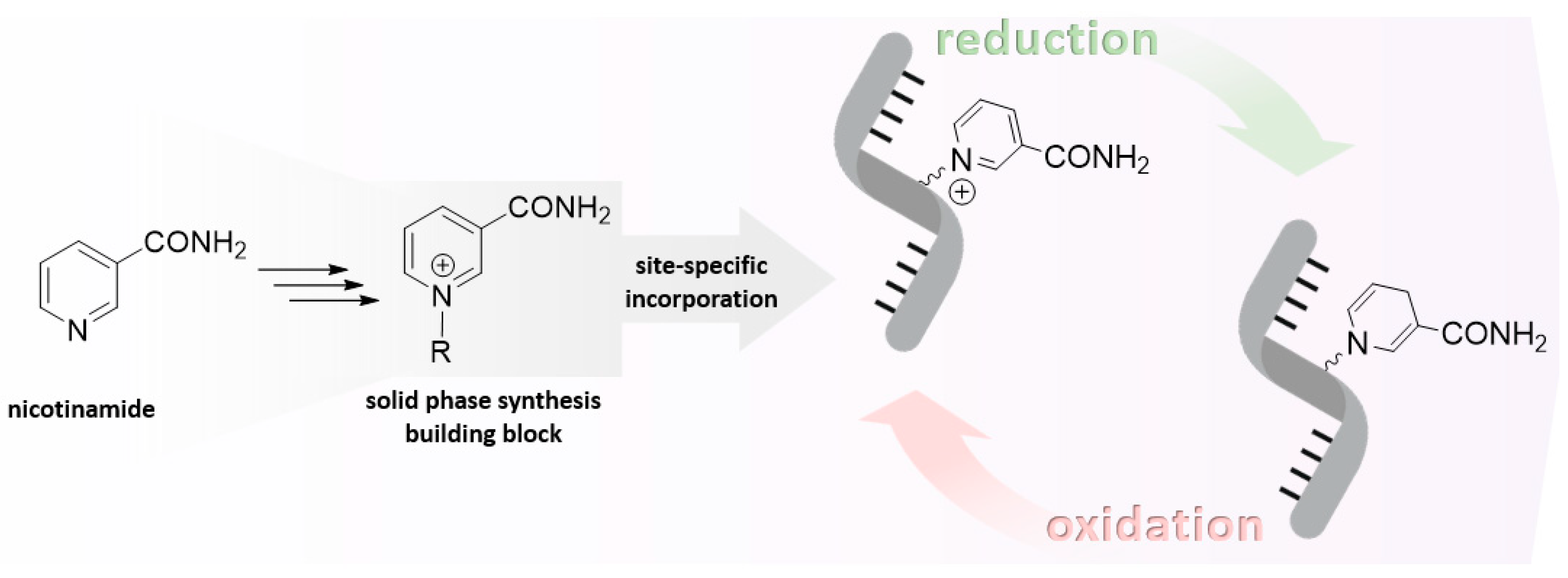 Preprints 112236 g001