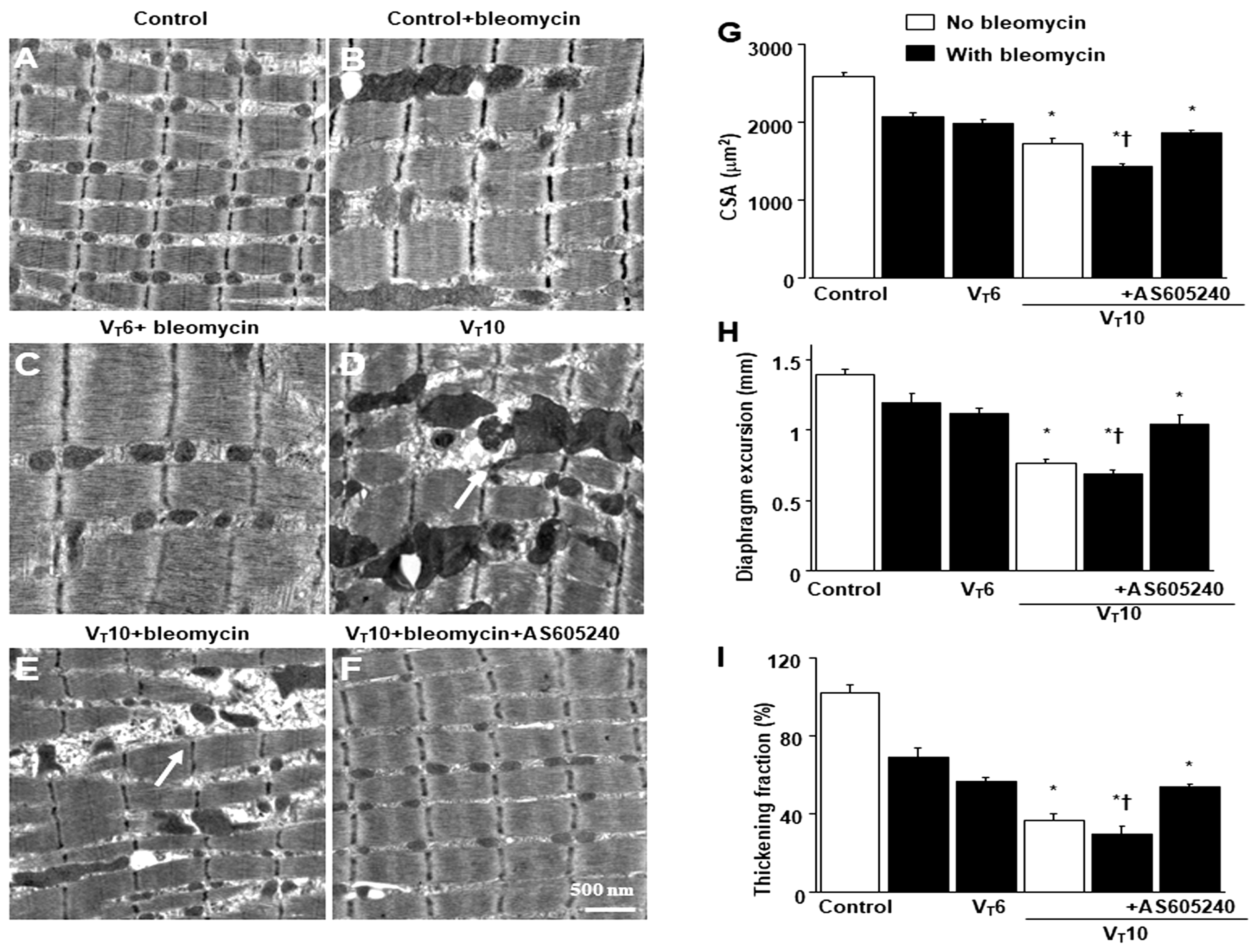 Preprints 104192 g001