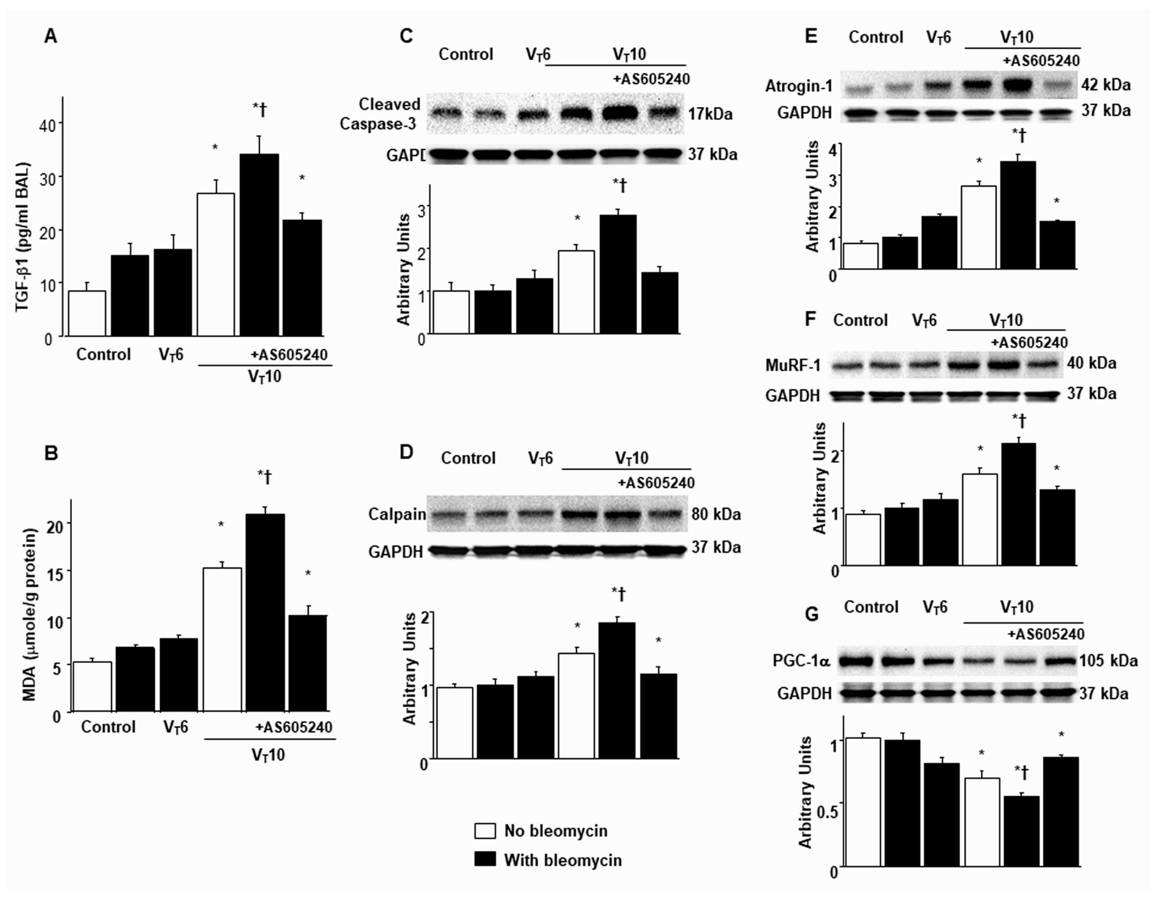 Preprints 104192 g002