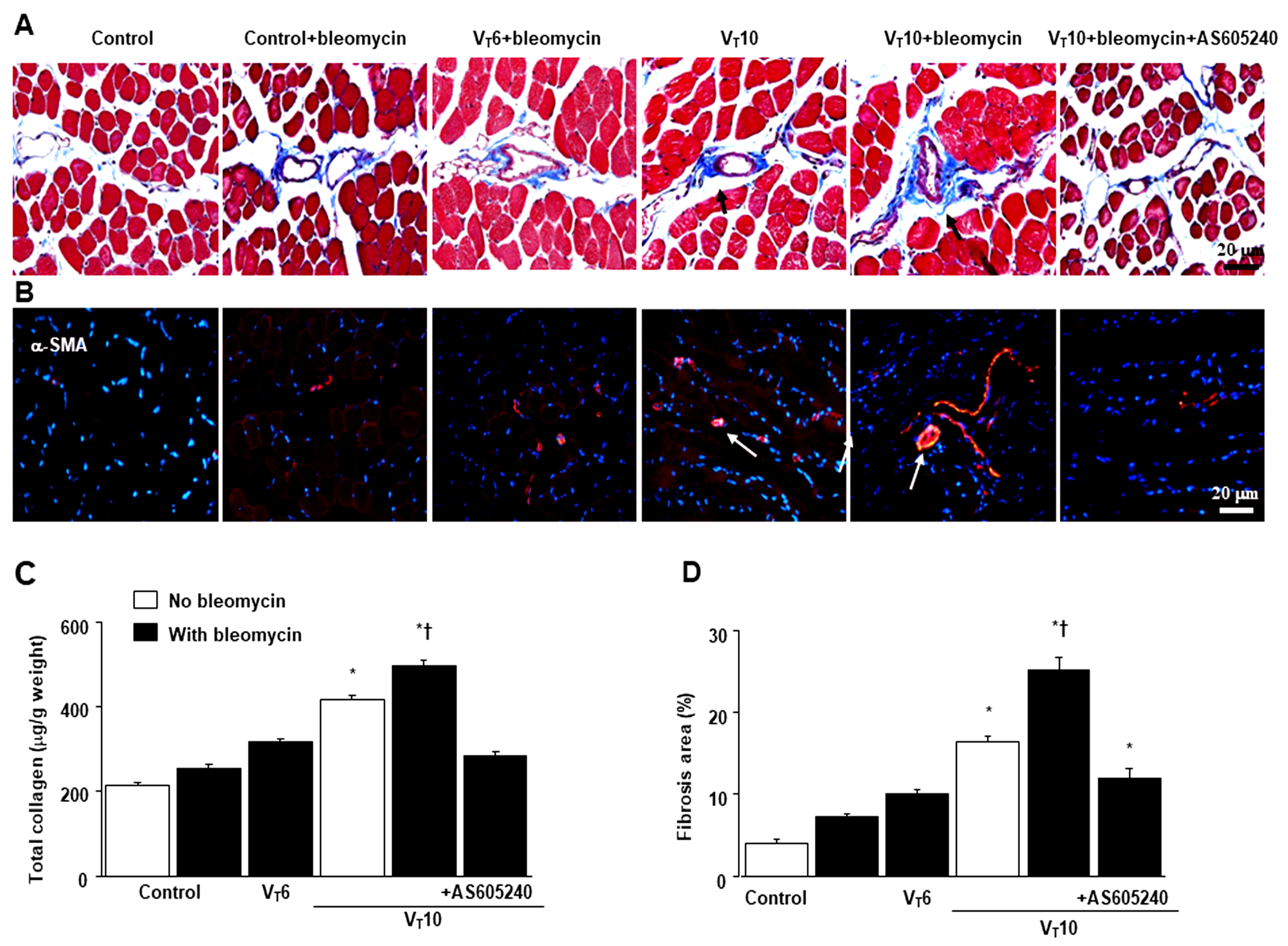 Preprints 104192 g003