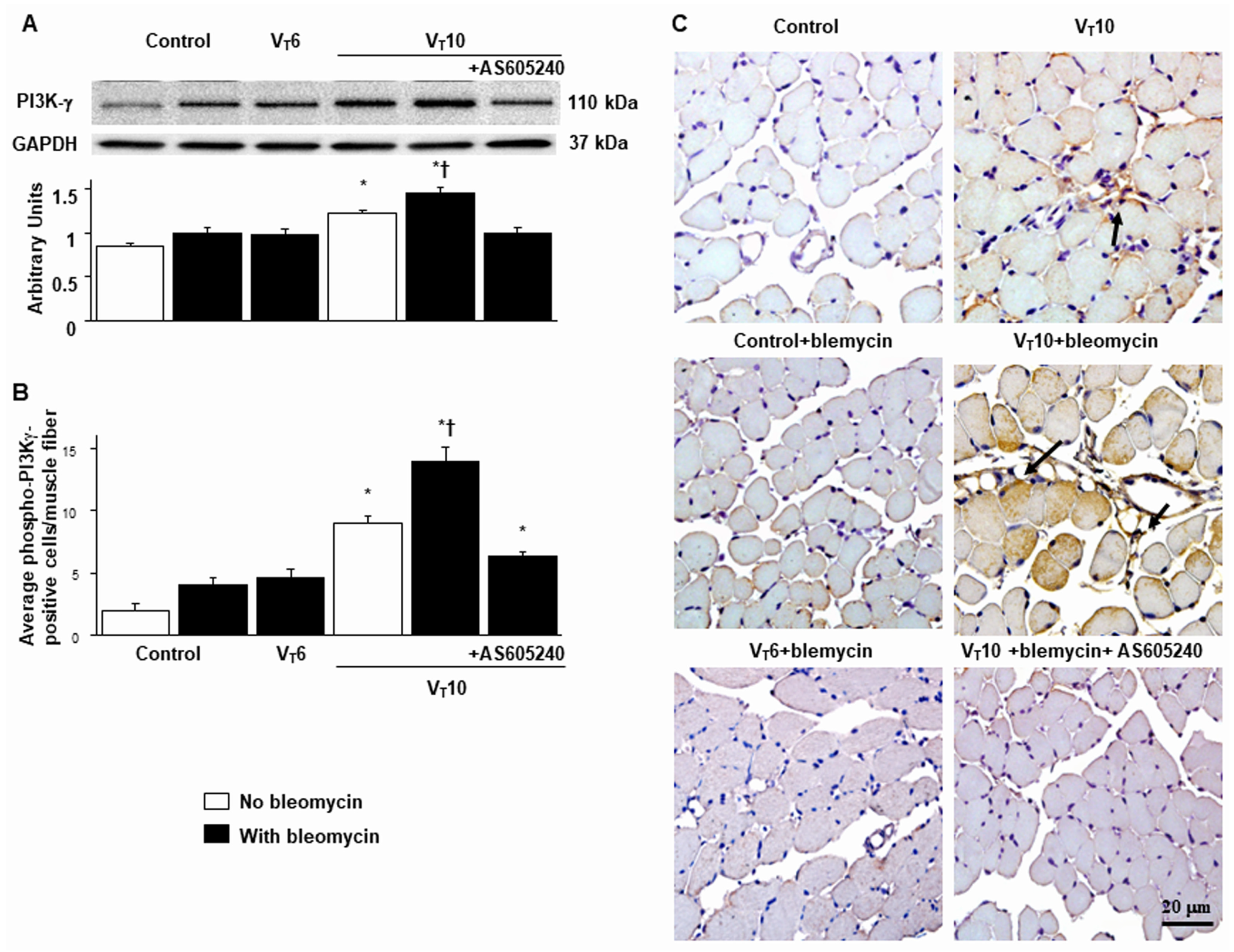 Preprints 104192 g004