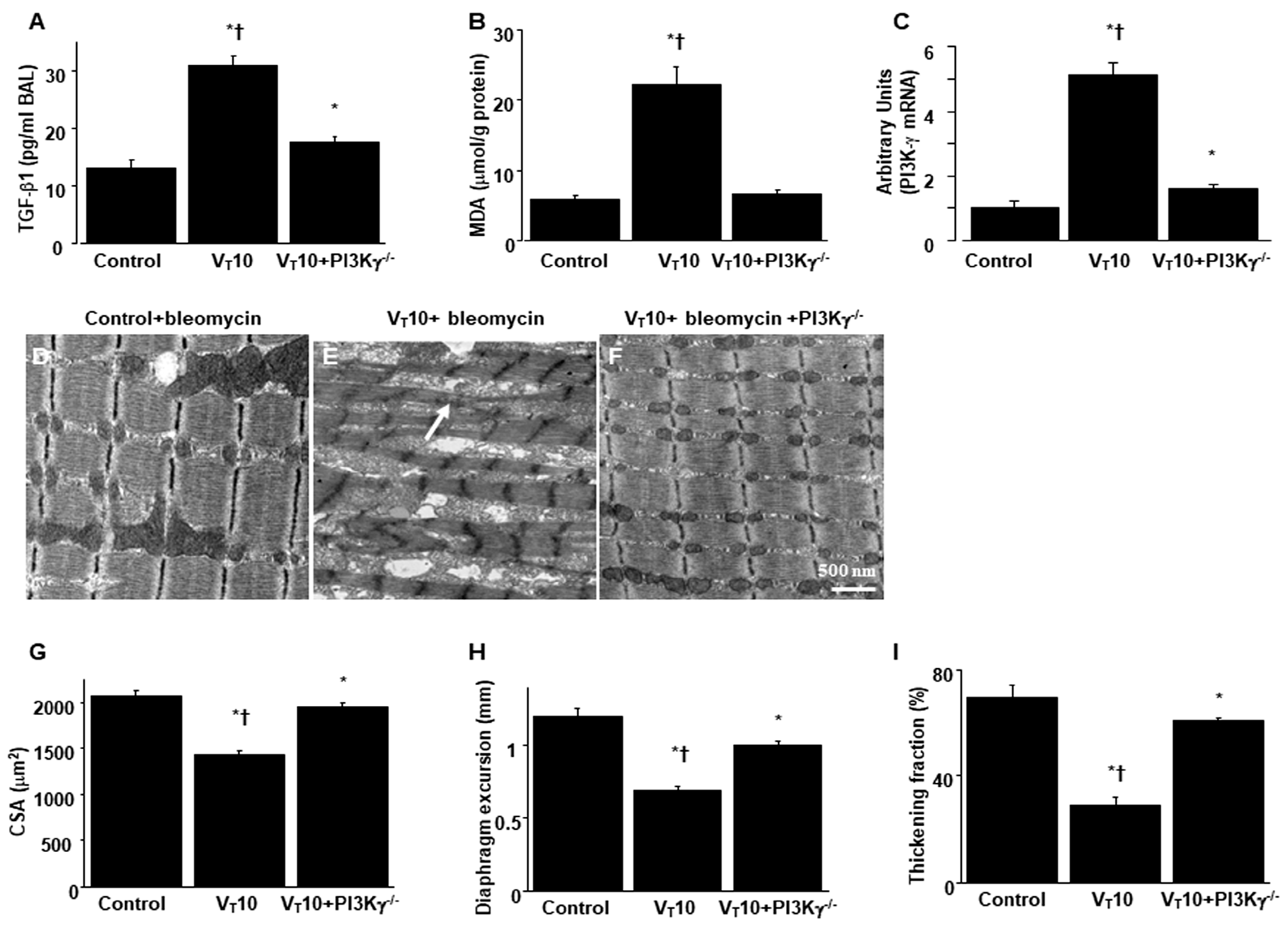 Preprints 104192 g005