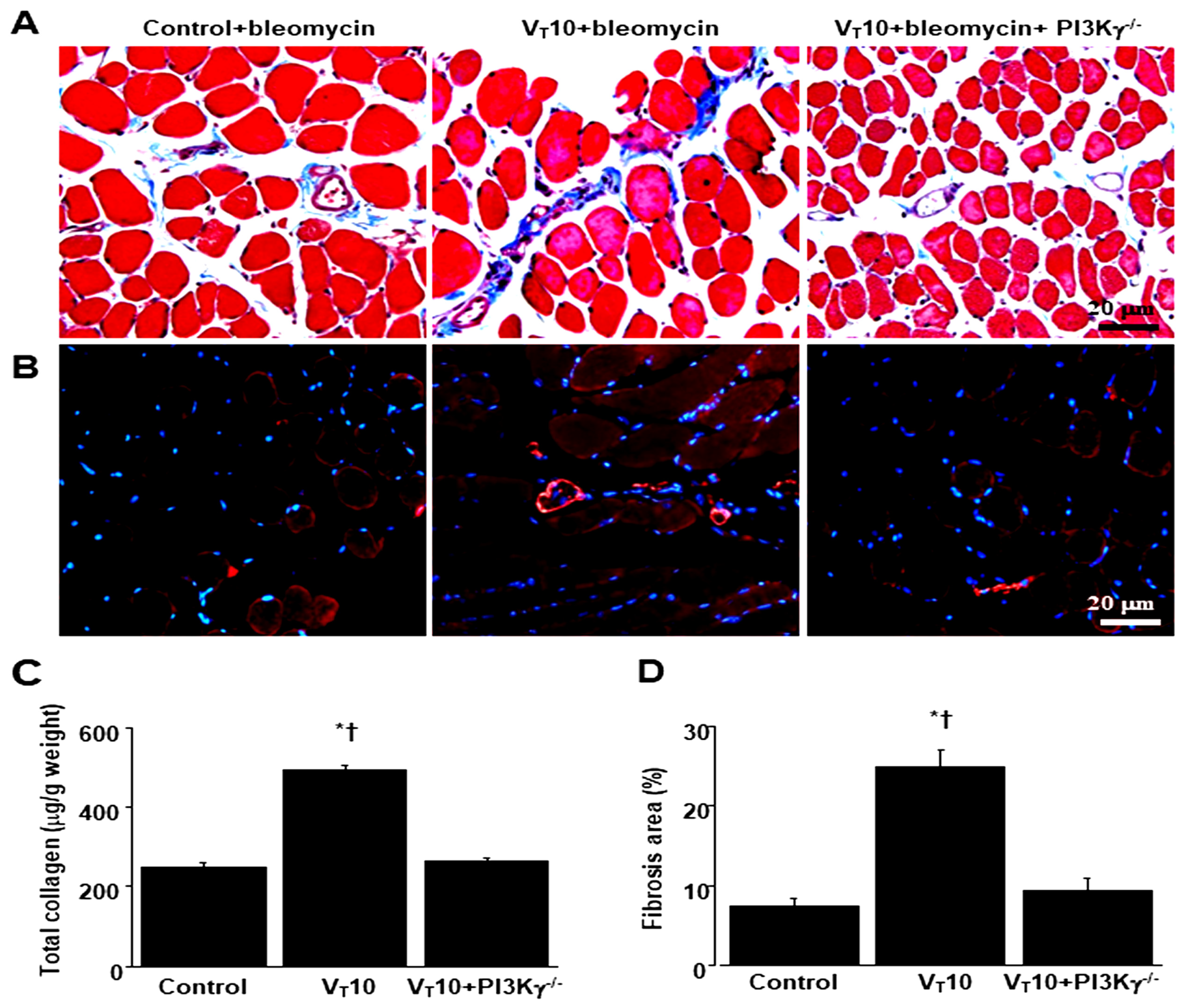 Preprints 104192 g006