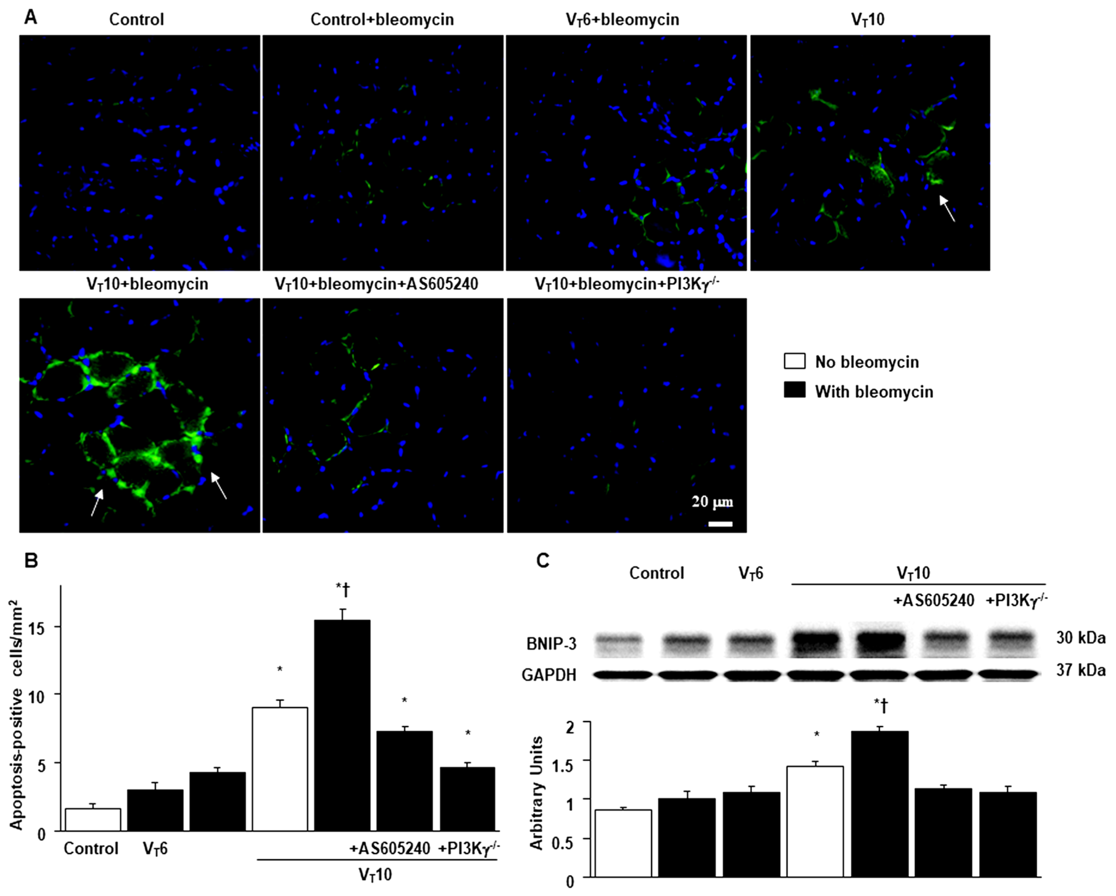 Preprints 104192 g007