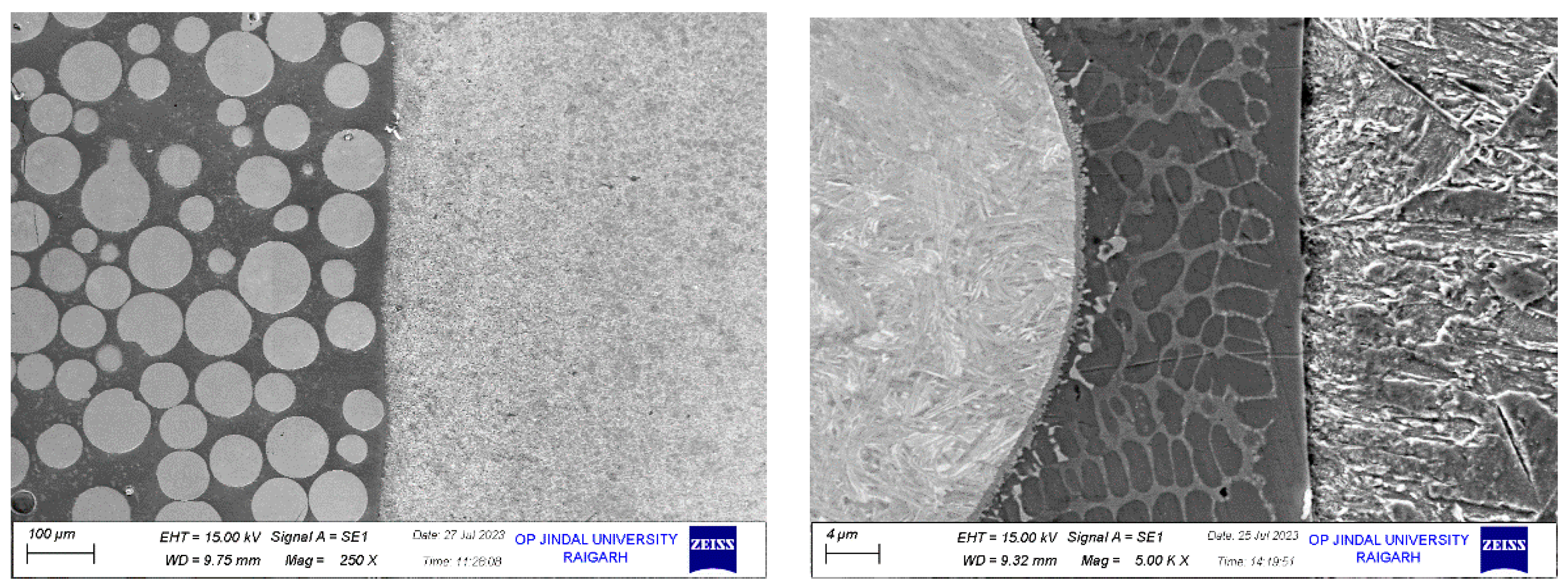 Preprints 111070 g007