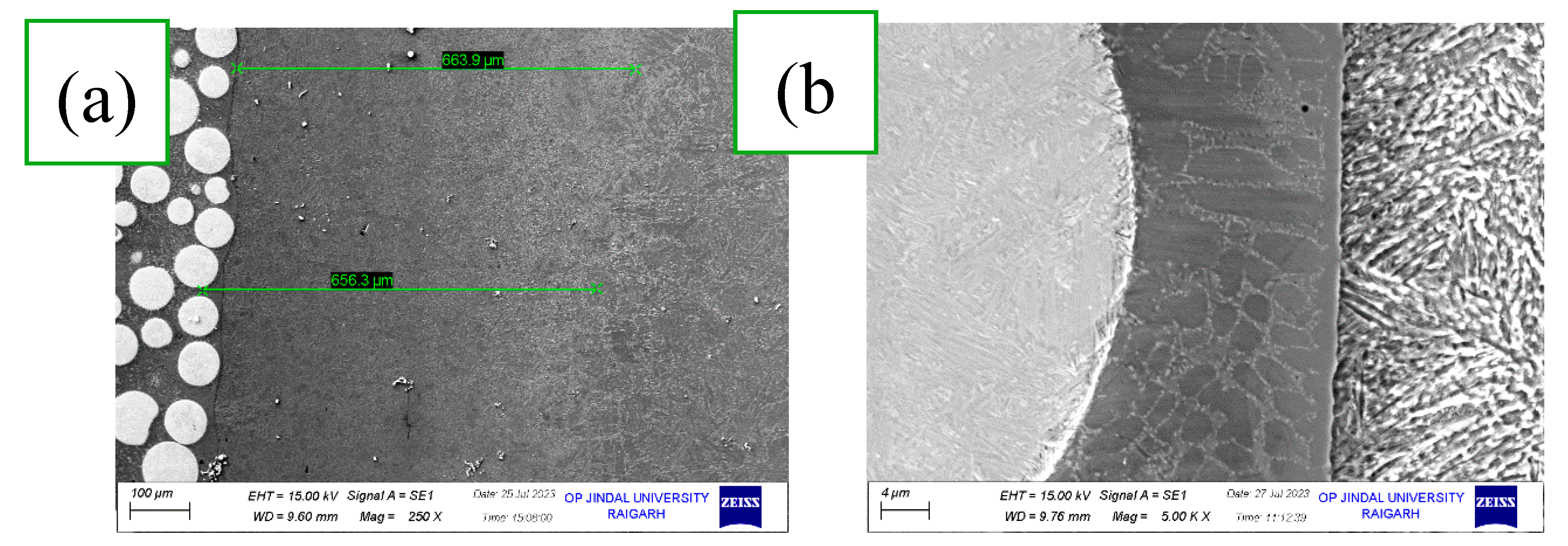 Preprints 111070 g008