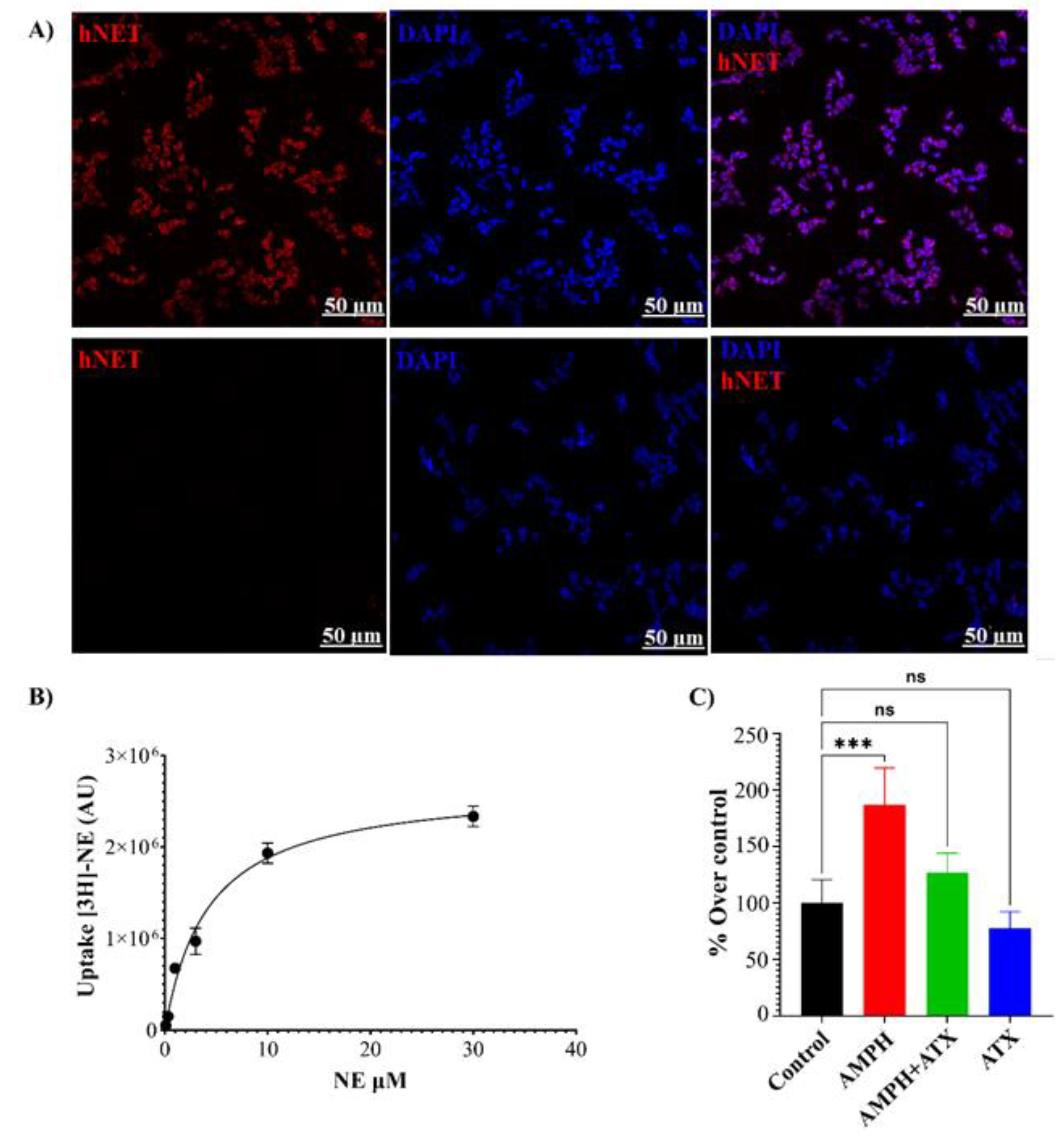 Preprints 79725 g004