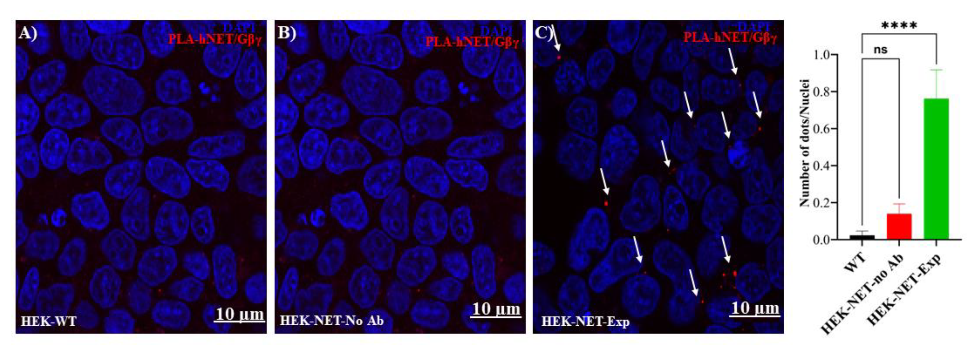 Preprints 79725 g006