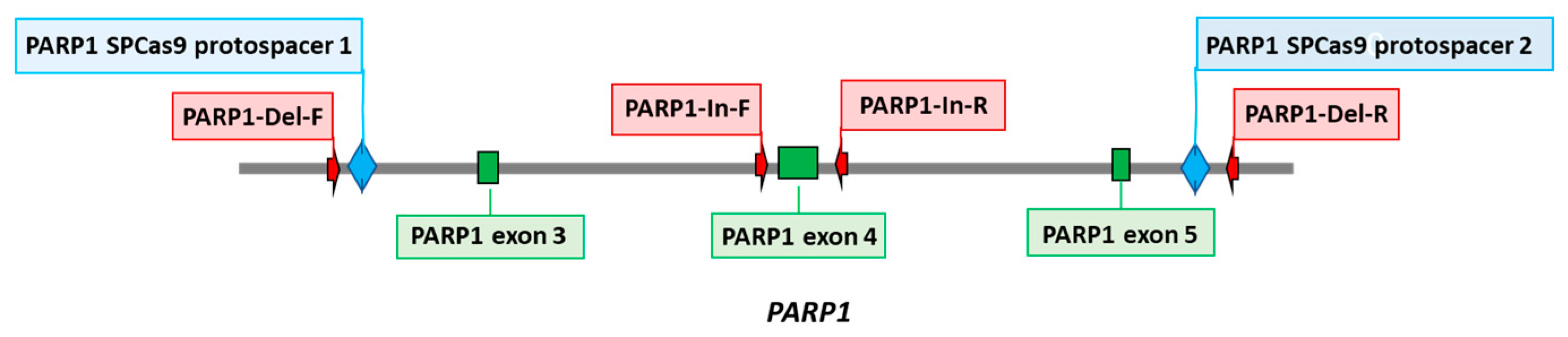 Preprints 92726 g001