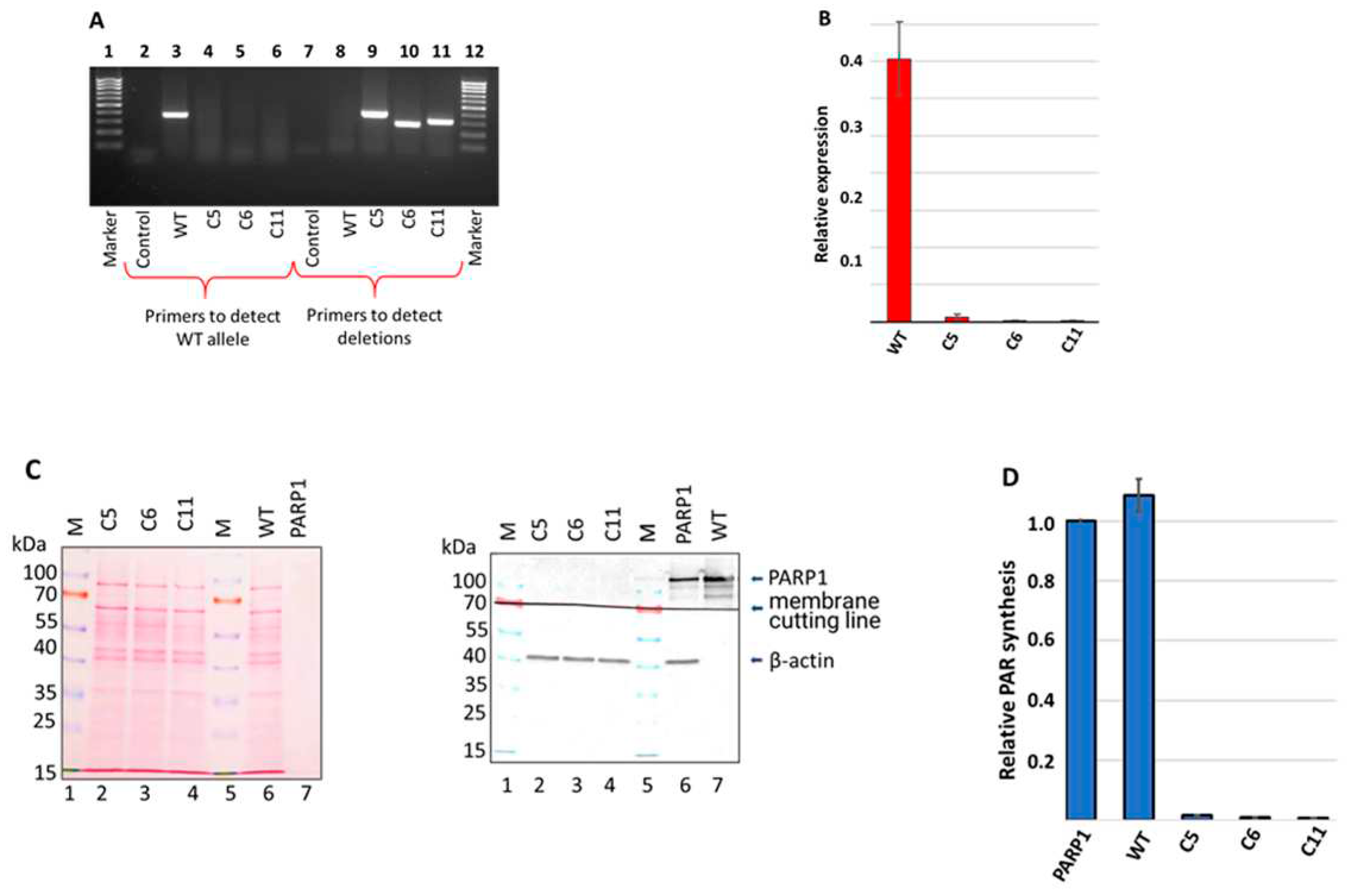 Preprints 92726 g002