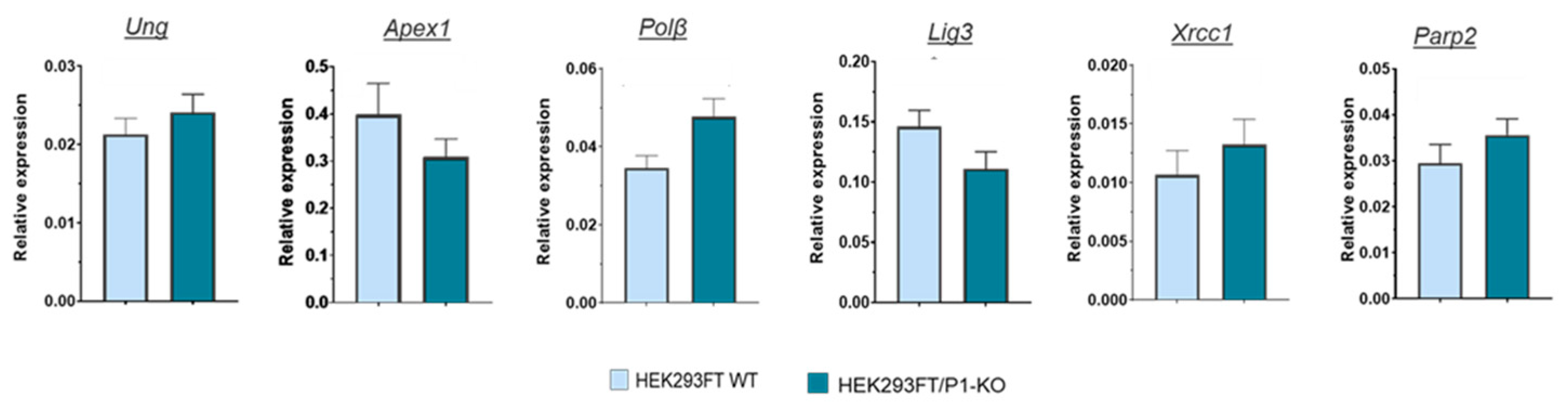 Preprints 92726 g003