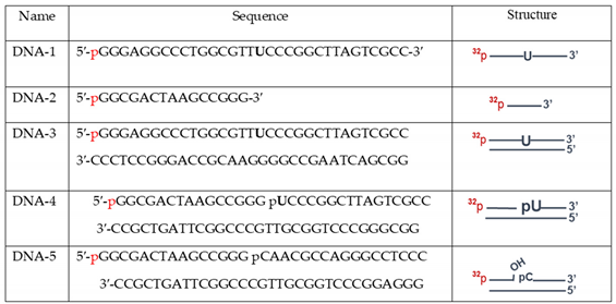 Preprints 92726 i001