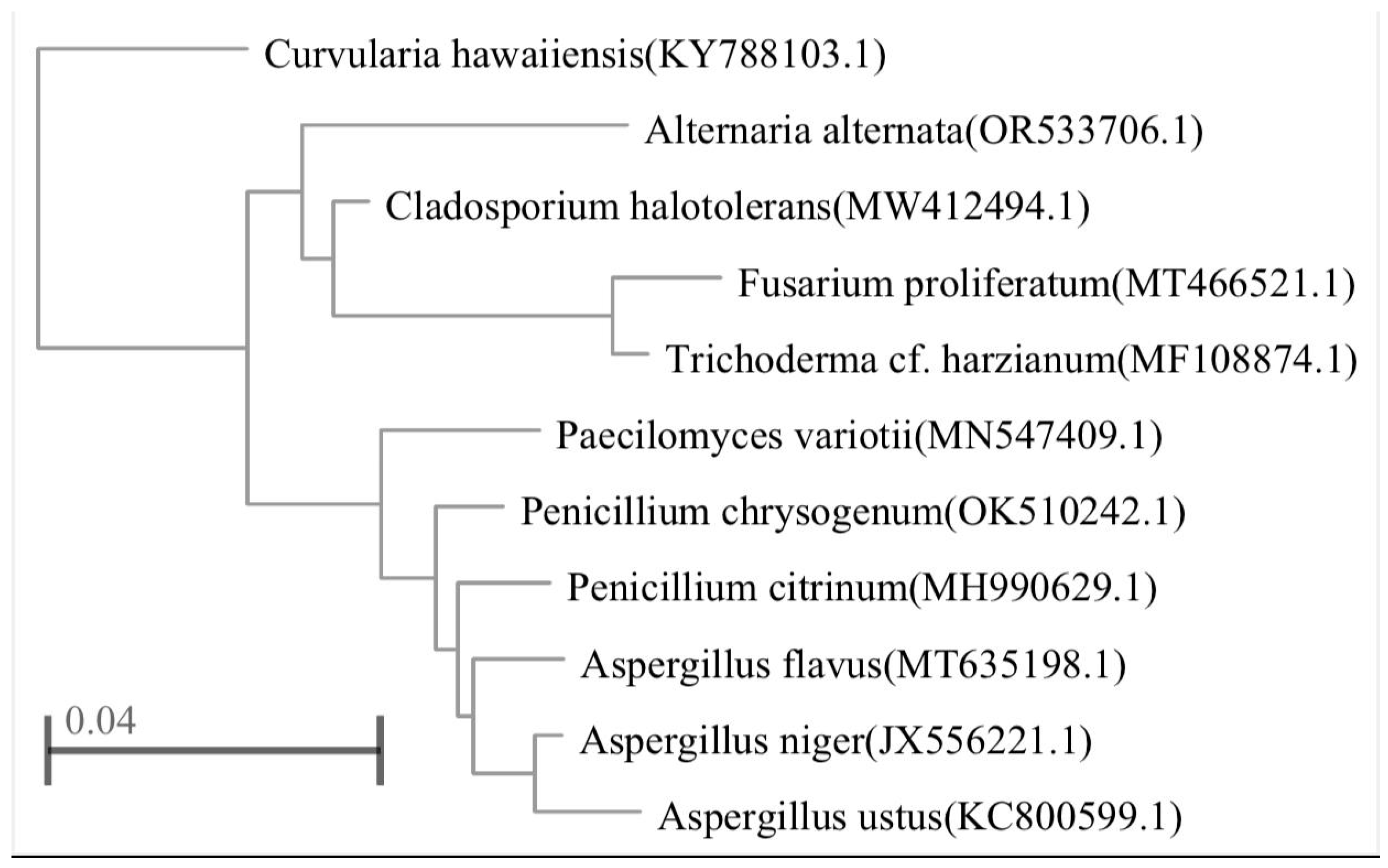 Preprints 119099 g001