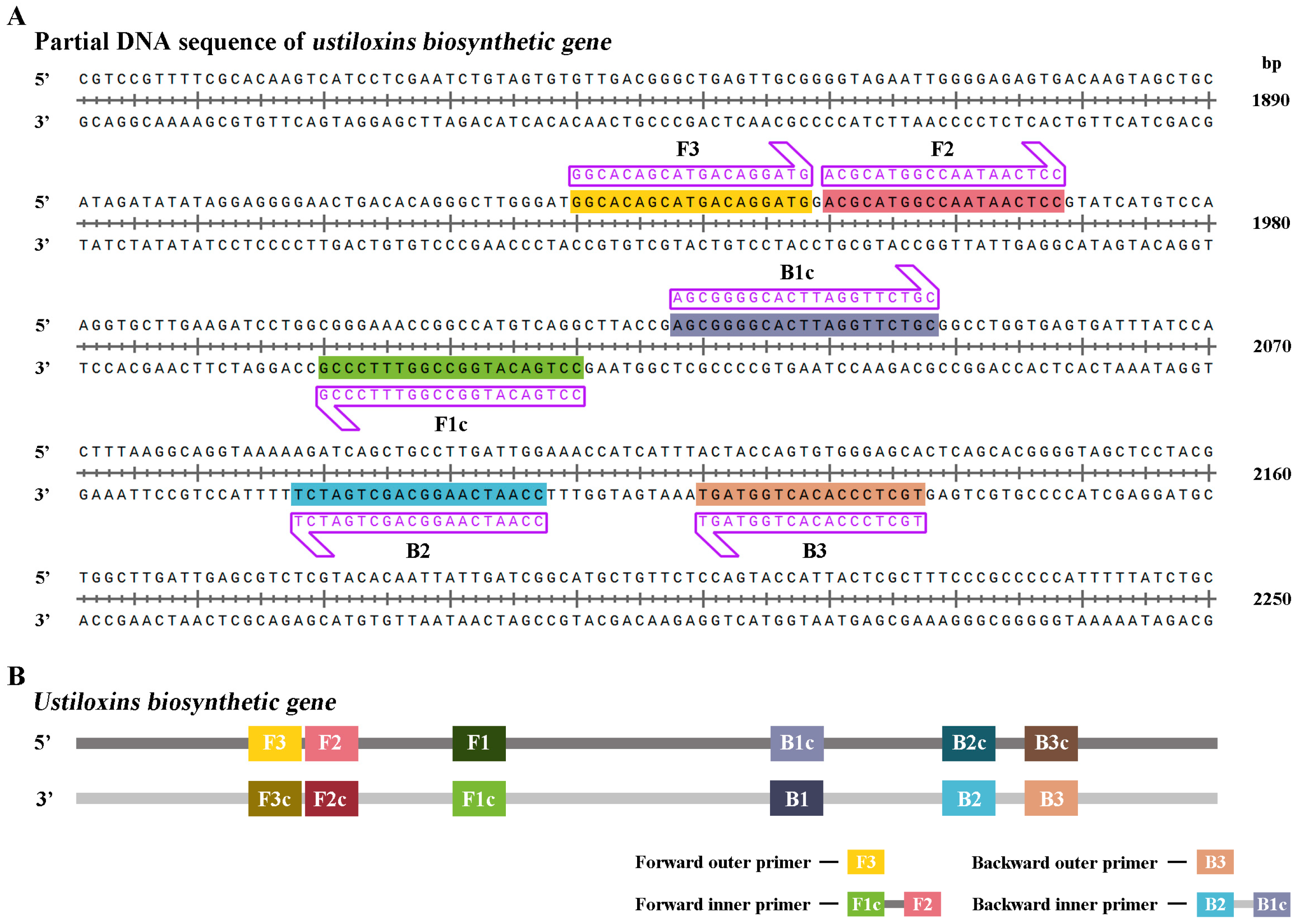 Preprints 72293 g001