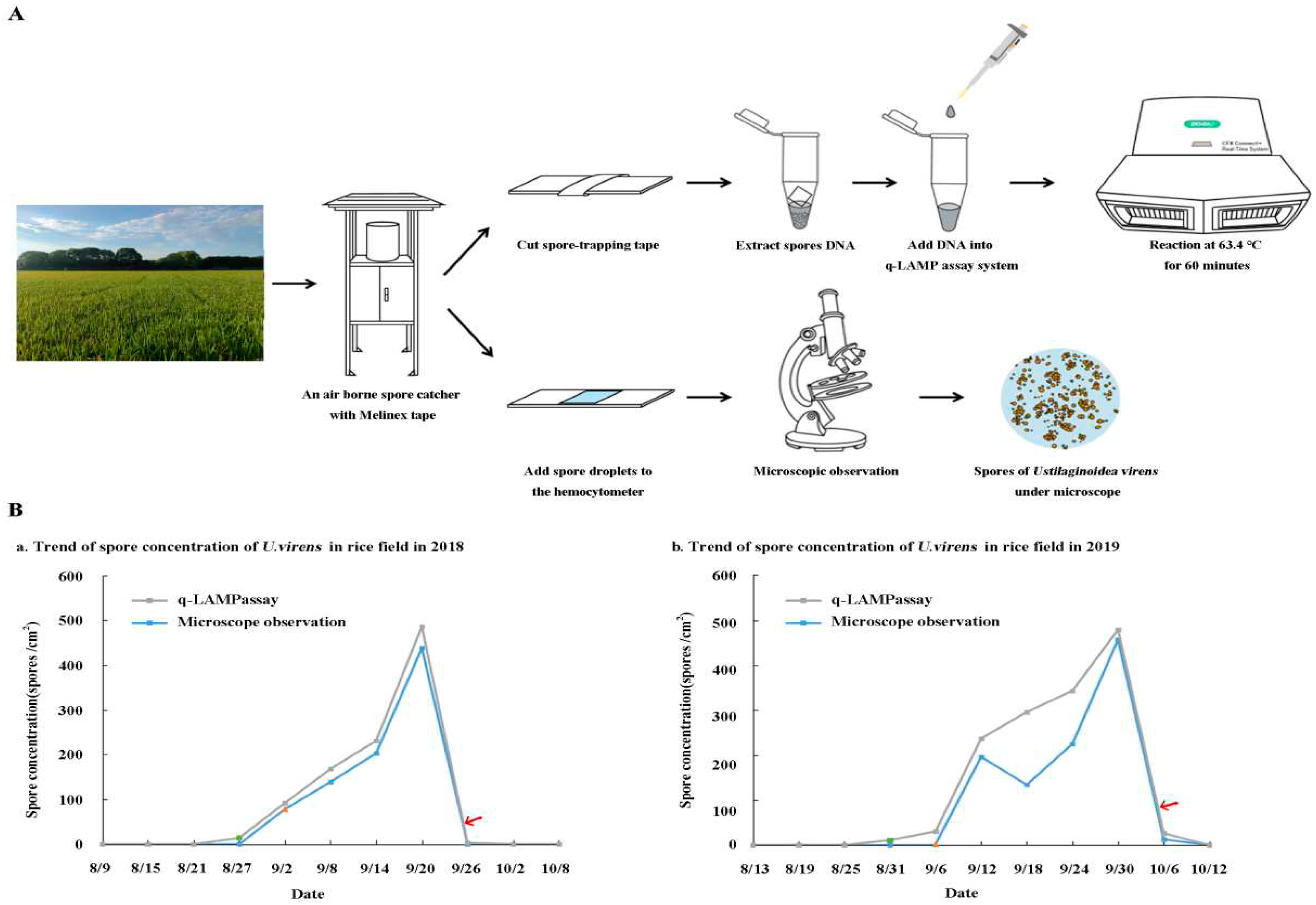 Preprints 72293 g007