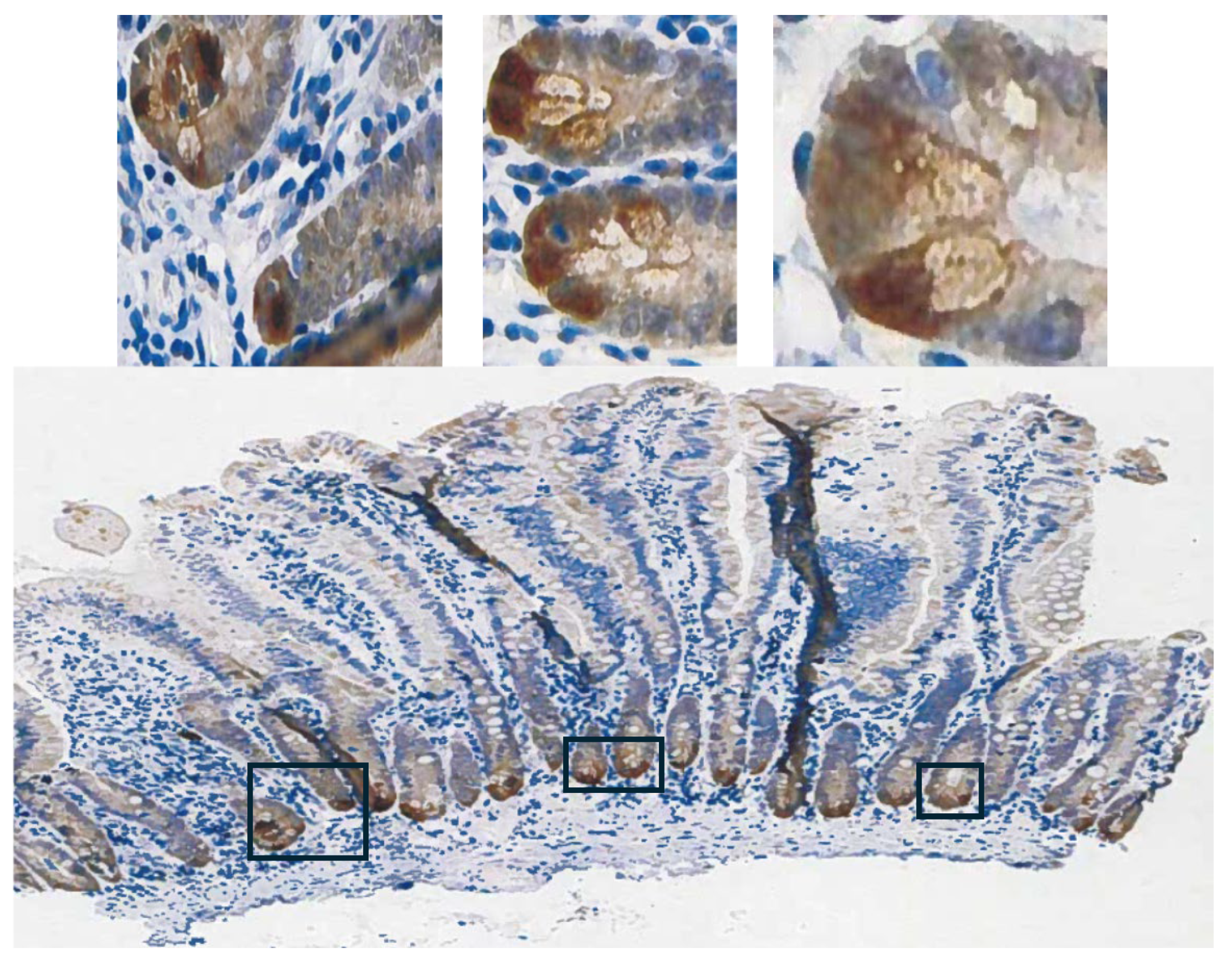 Preprints 110878 g003