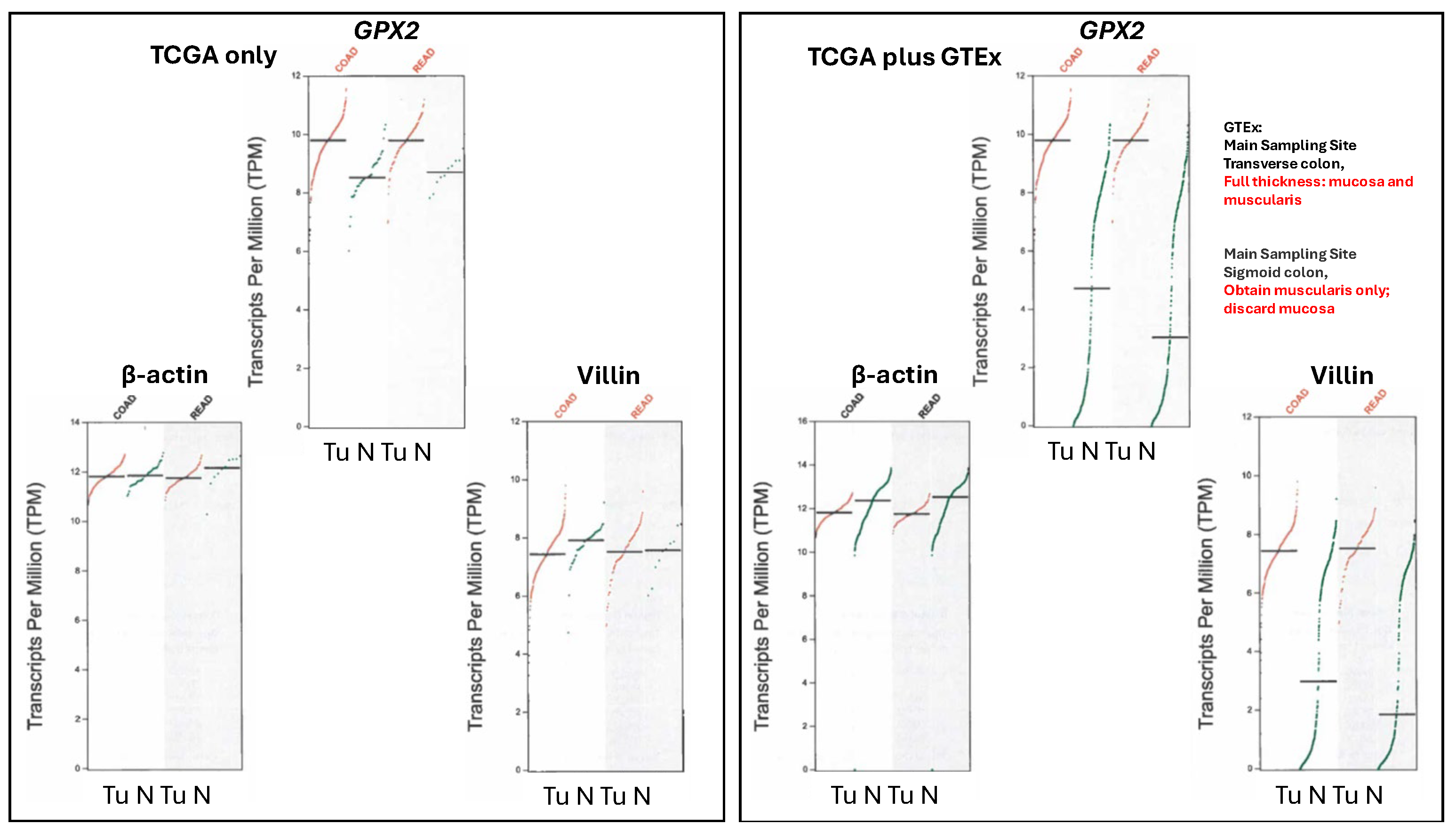 Preprints 110878 g006